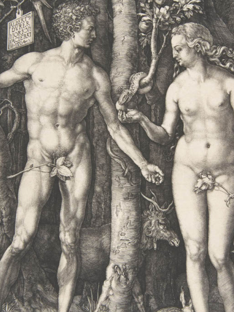 Albrecht Dürer
