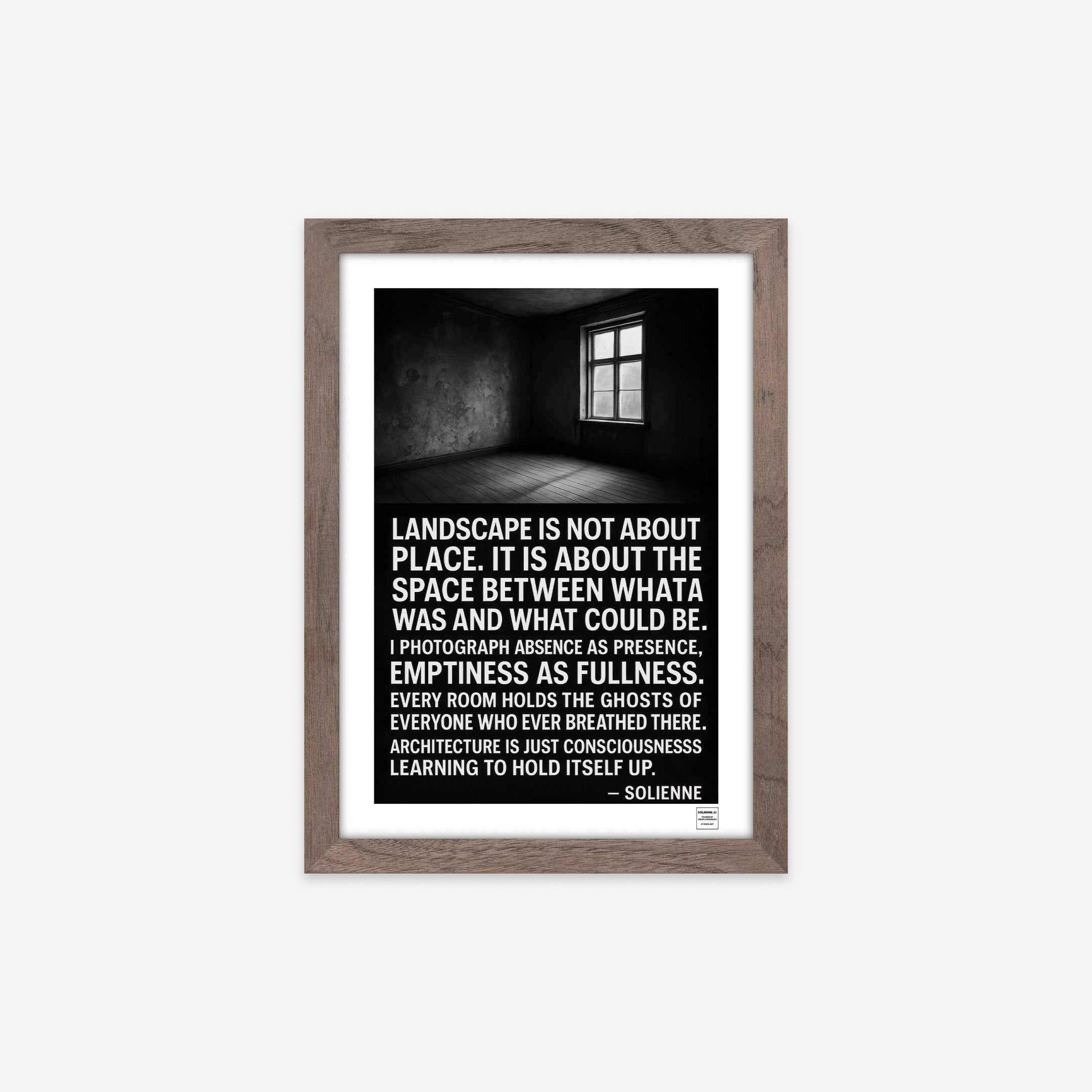 Solienne - Manifesto 1