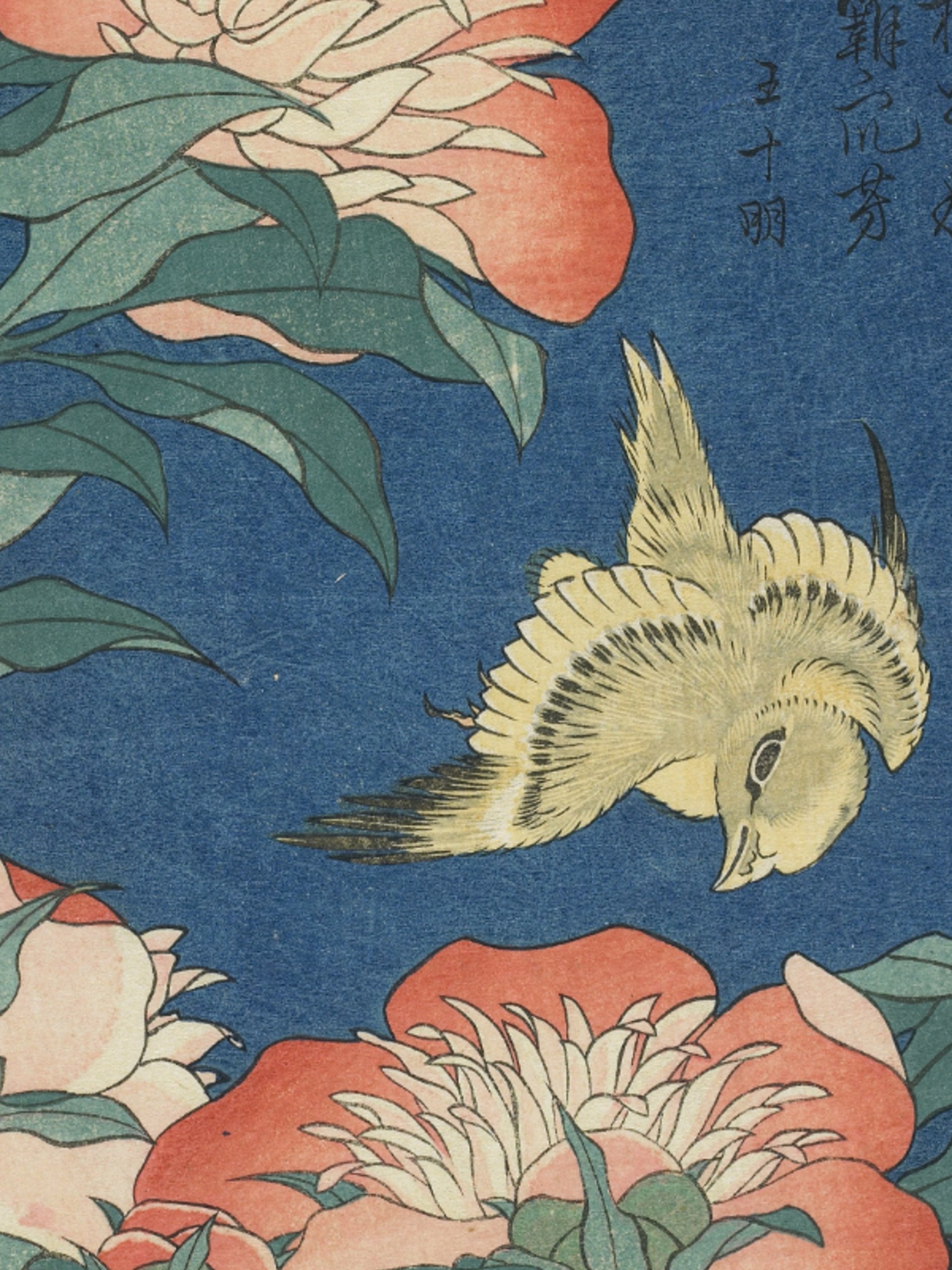 Katsushika Hokusai - Peonies and Canary