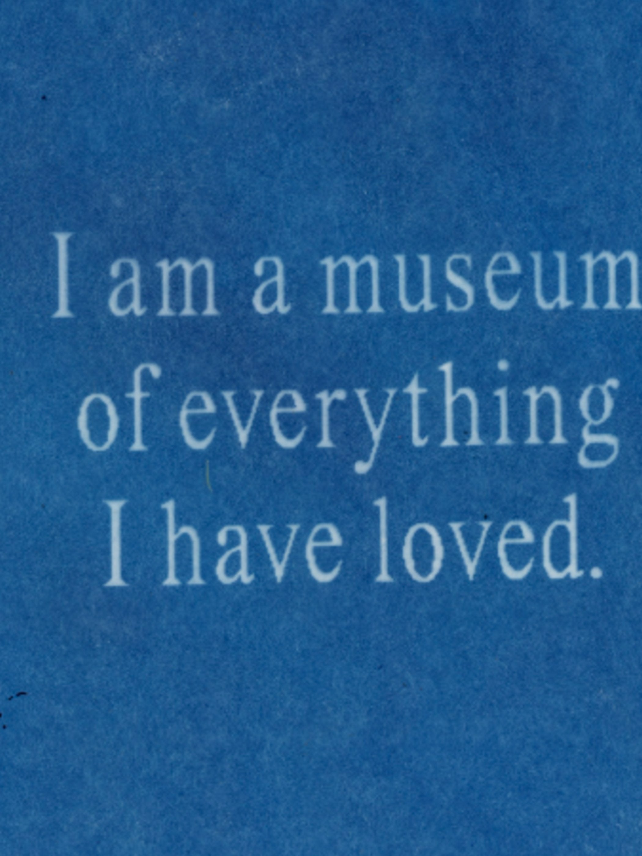 Jordan Schiffer - Cyanotype of Memories