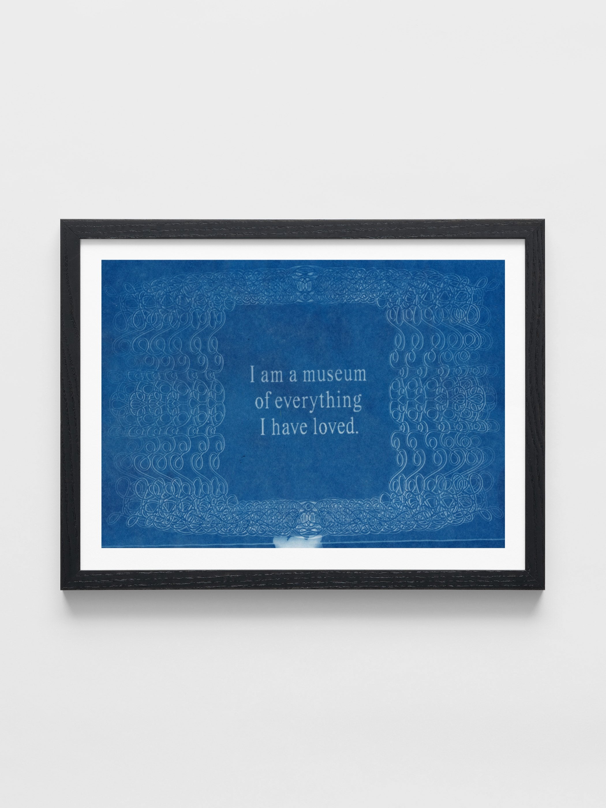 Jordan Schiffer - Cyanotype of Memories