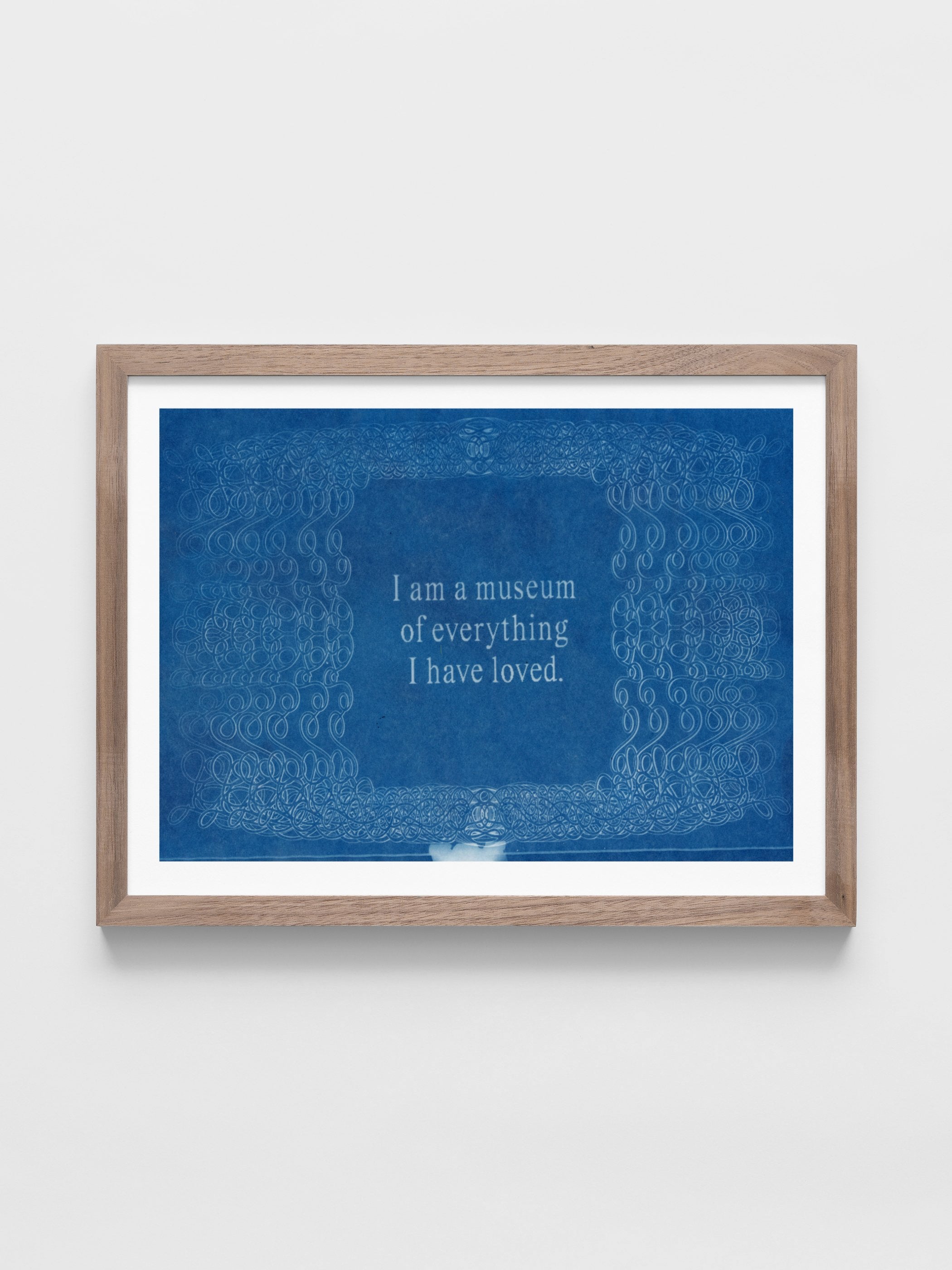 Jordan Schiffer - Cyanotype of Memories