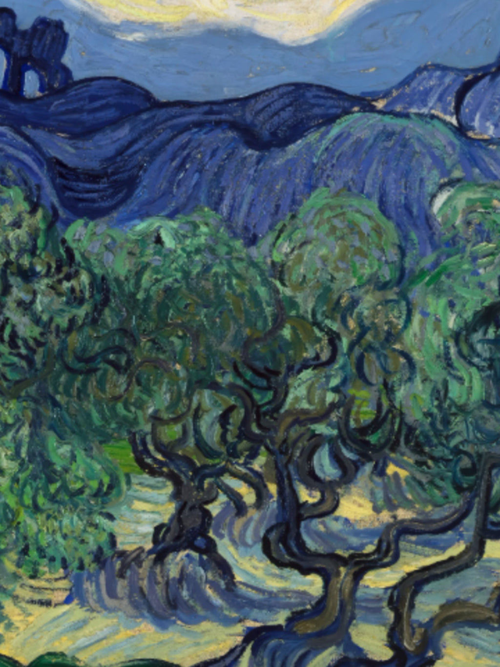 Vincent Van Gogh - The Olive Trees