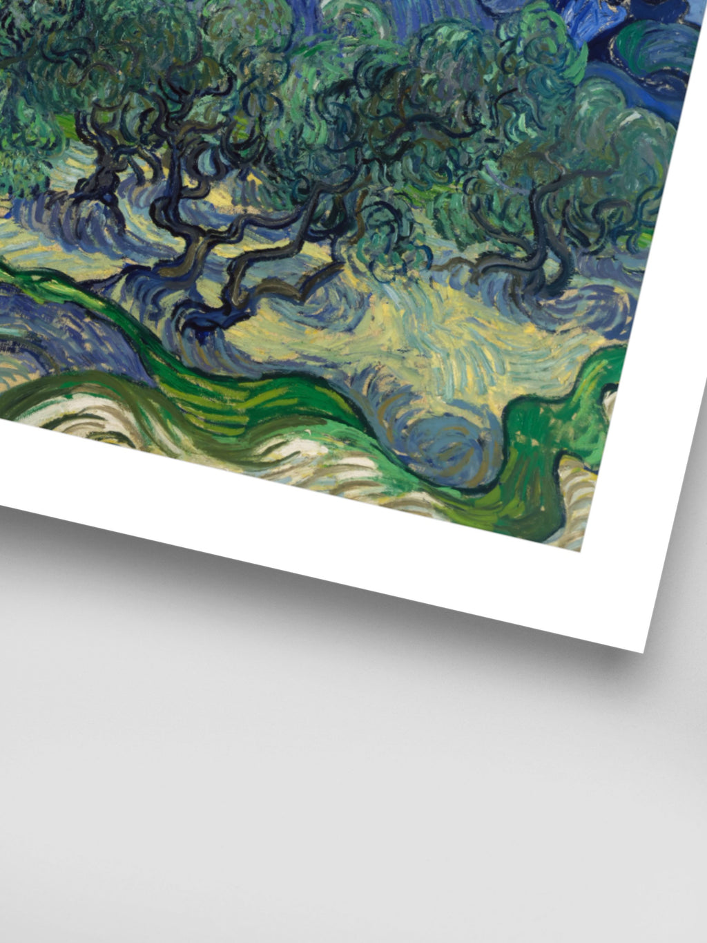Vincent Van Gogh - The Olive Trees