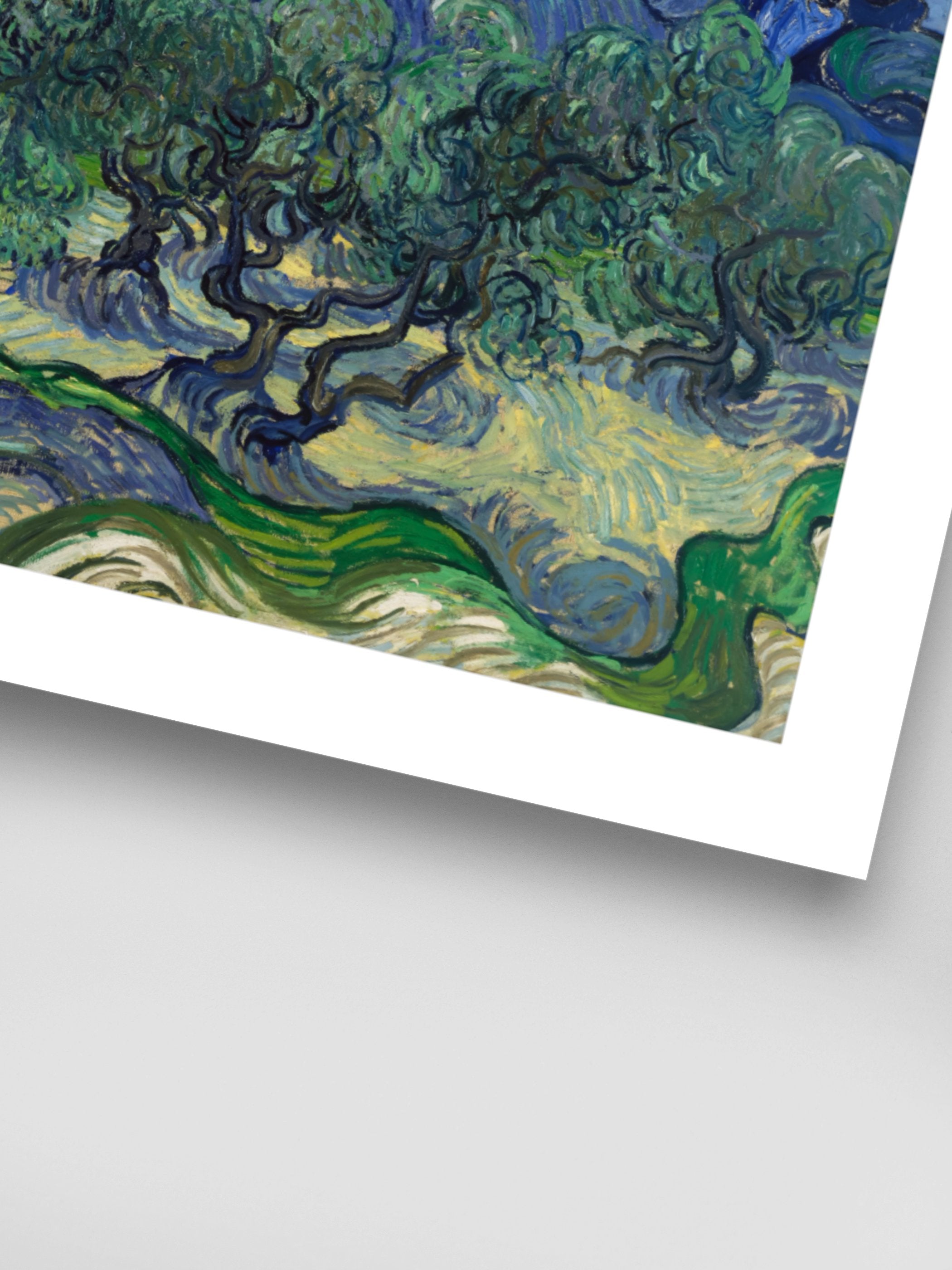 Vincent Van Gogh - The Olive Trees