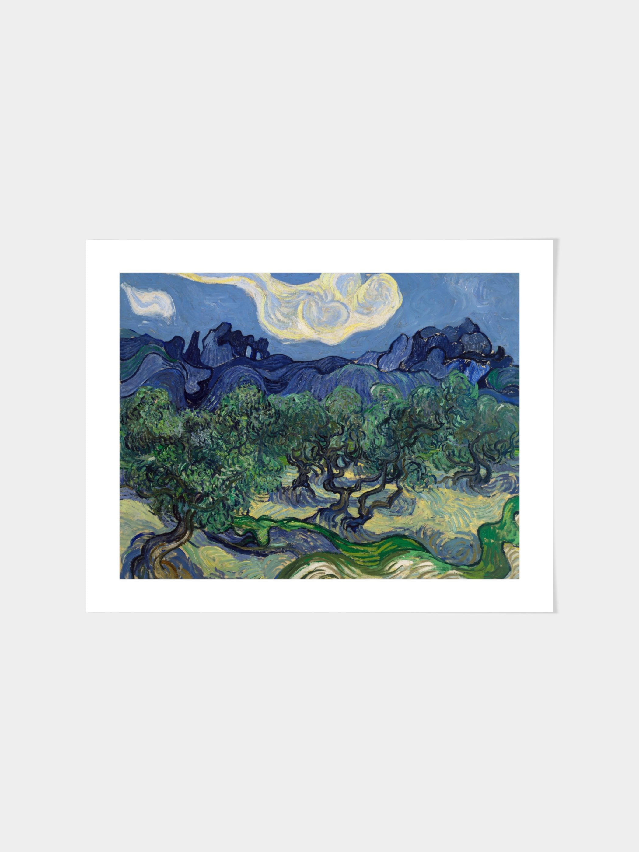 Vincent Van Gogh - The Olive Trees
