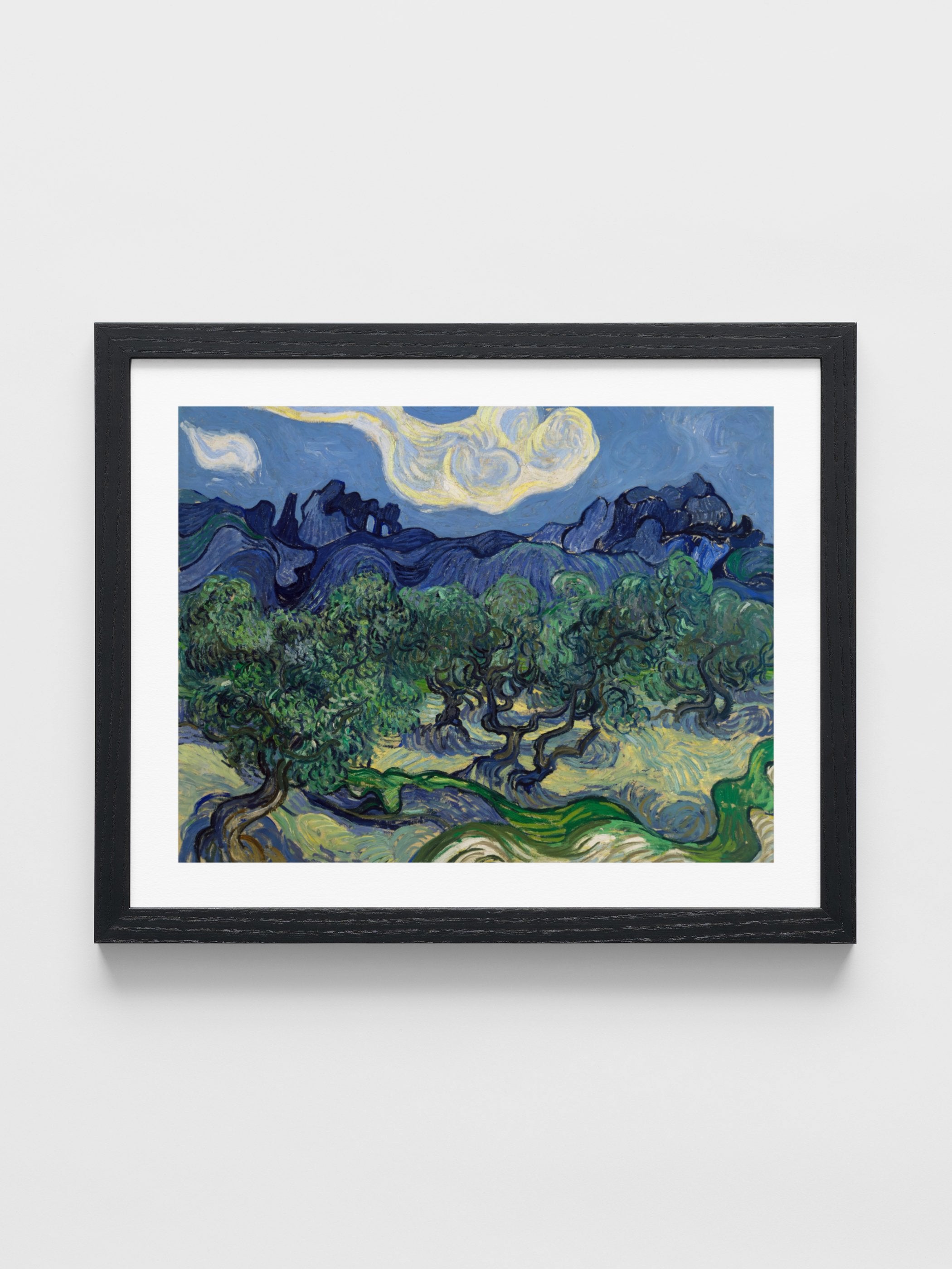 Vincent Van Gogh - The Olive Trees