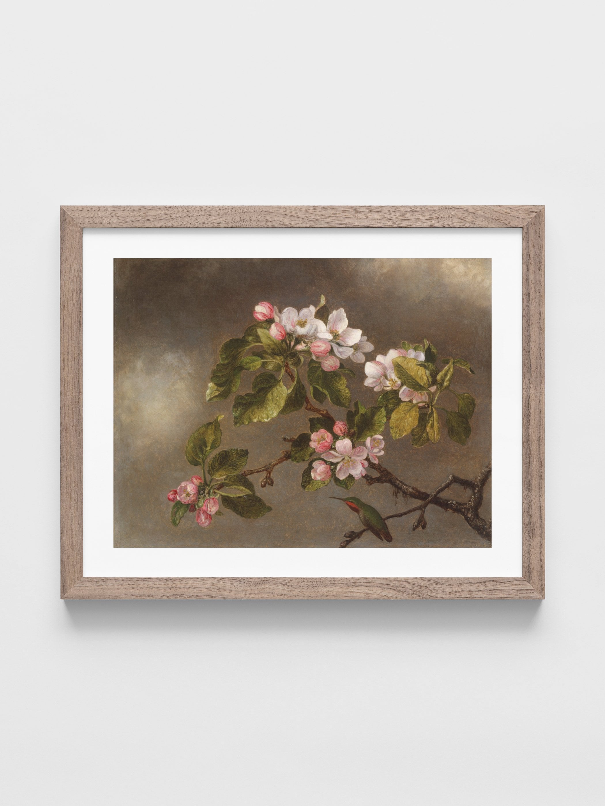 Martin Johnson Heade - Hummingbird and Apple Blossoms