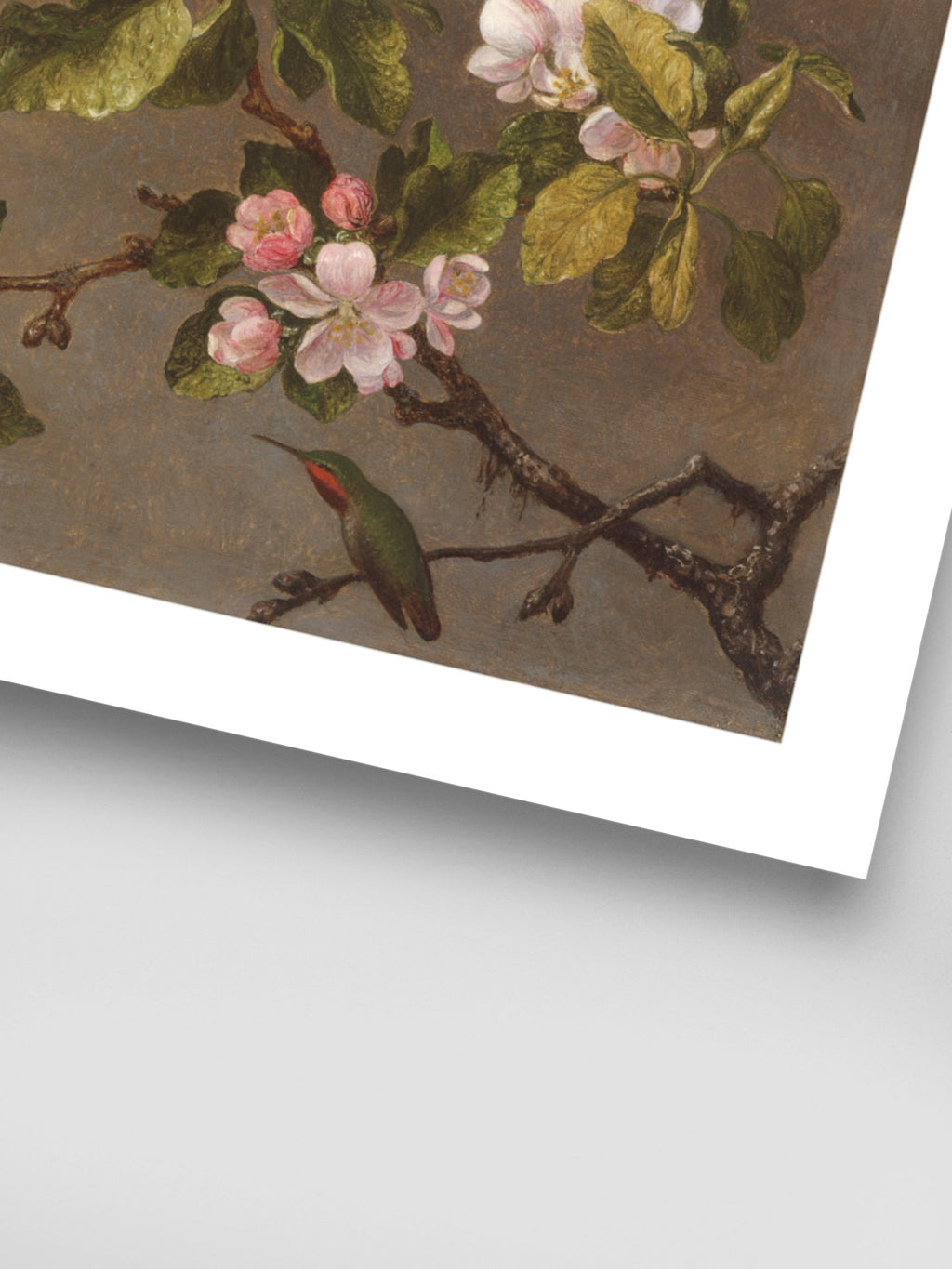 Martin Johnson Heade - Hummingbird and Apple Blossoms
