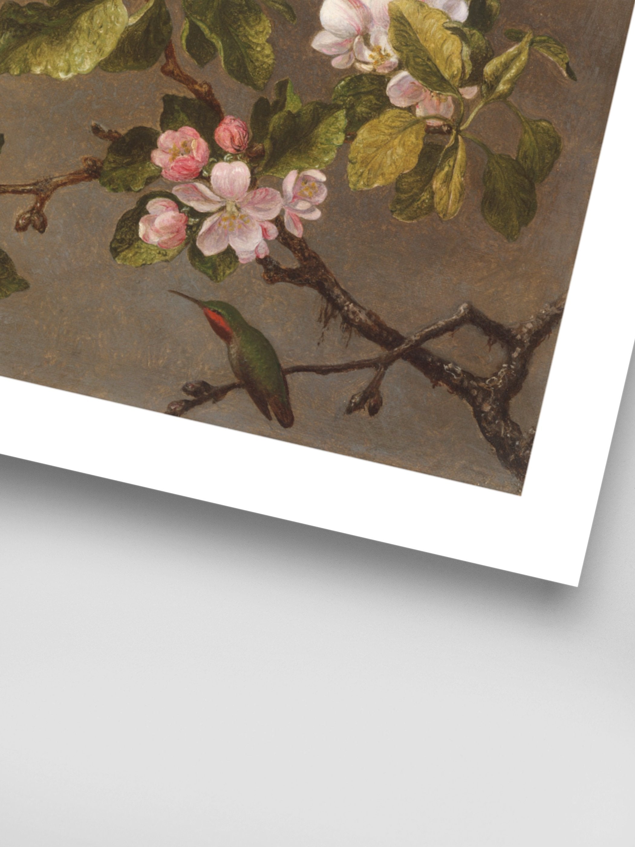Martin Johnson Heade - Hummingbird and Apple Blossoms