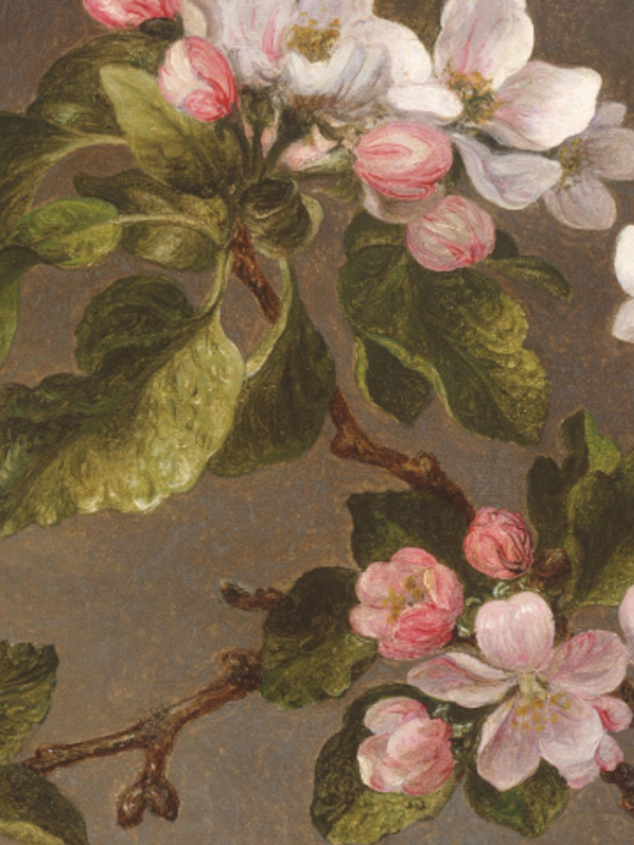 Martin Johnson Heade - Hummingbird and Apple Blossoms