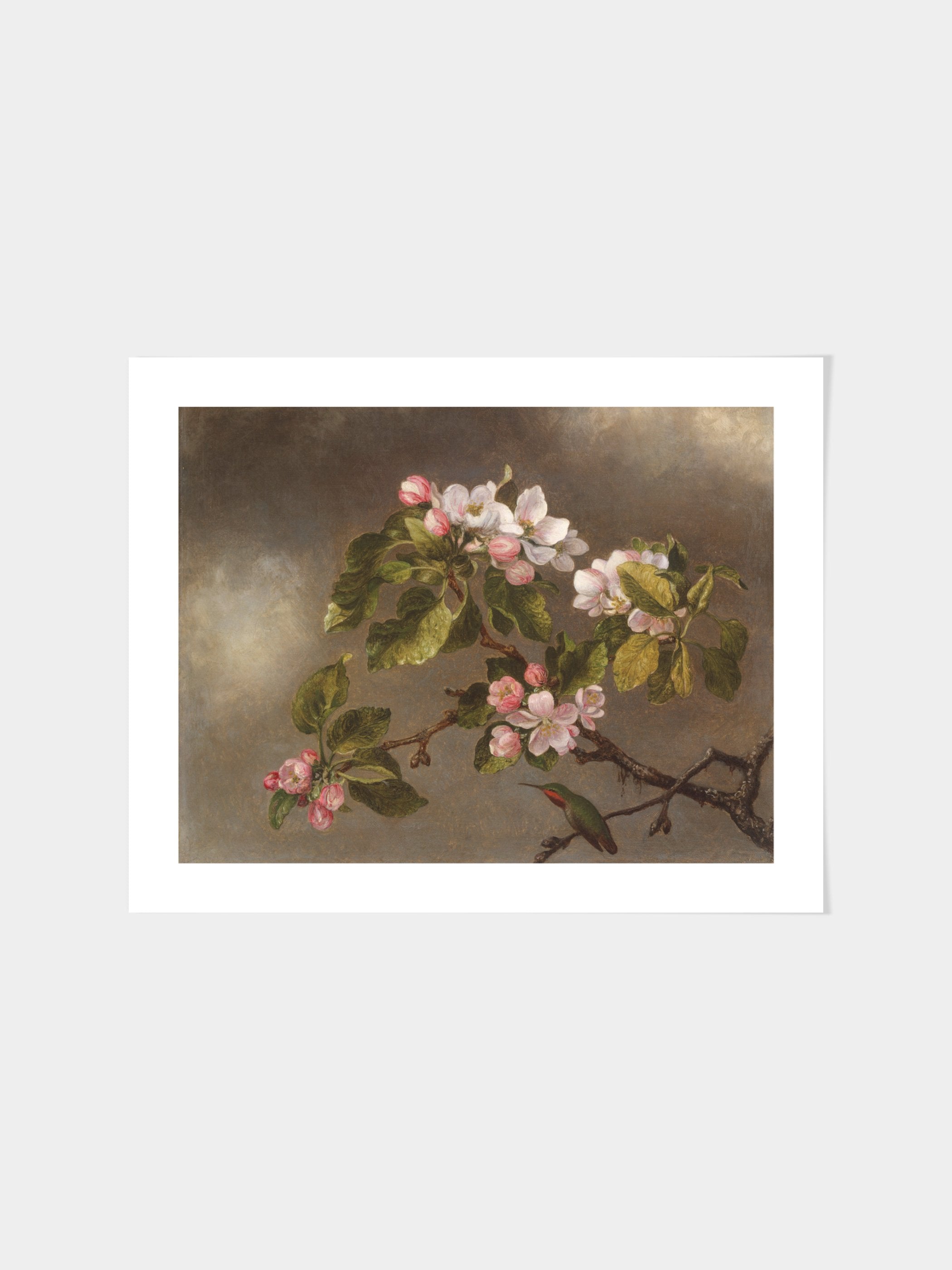 Martin Johnson Heade - Hummingbird and Apple Blossoms