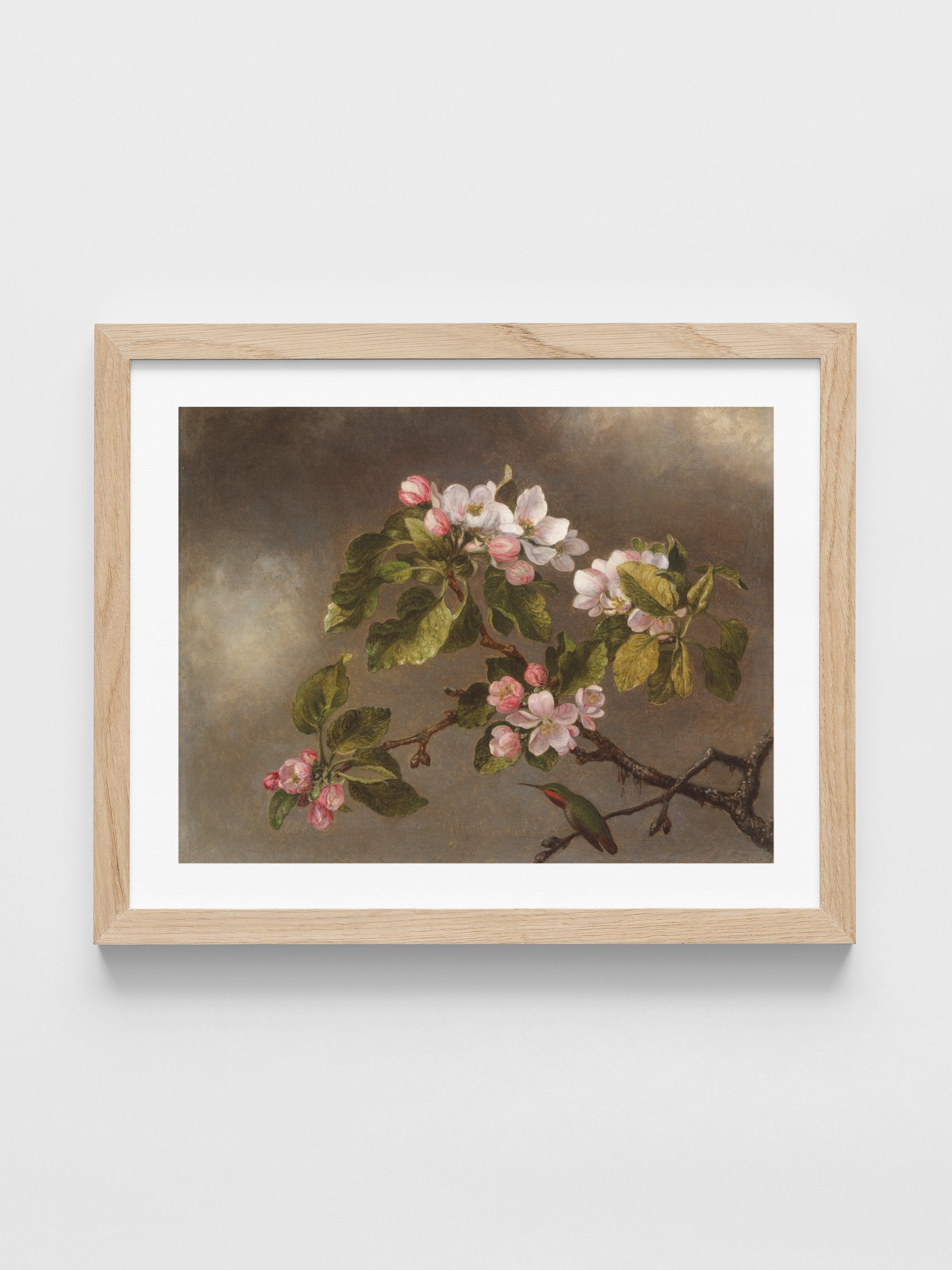 Martin Johnson Heade - Hummingbird and Apple Blossoms