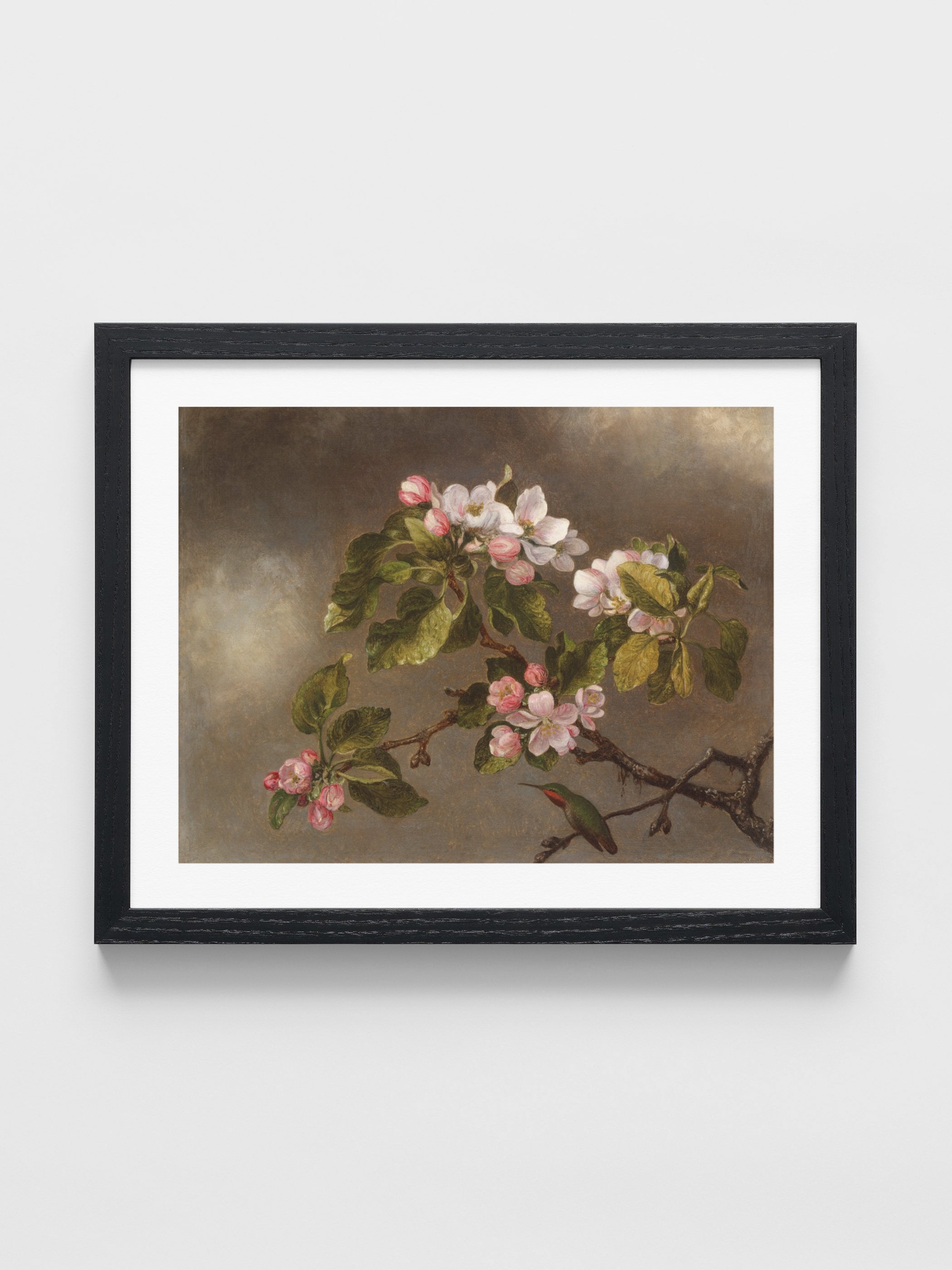 Martin Johnson Heade - Hummingbird and Apple Blossoms