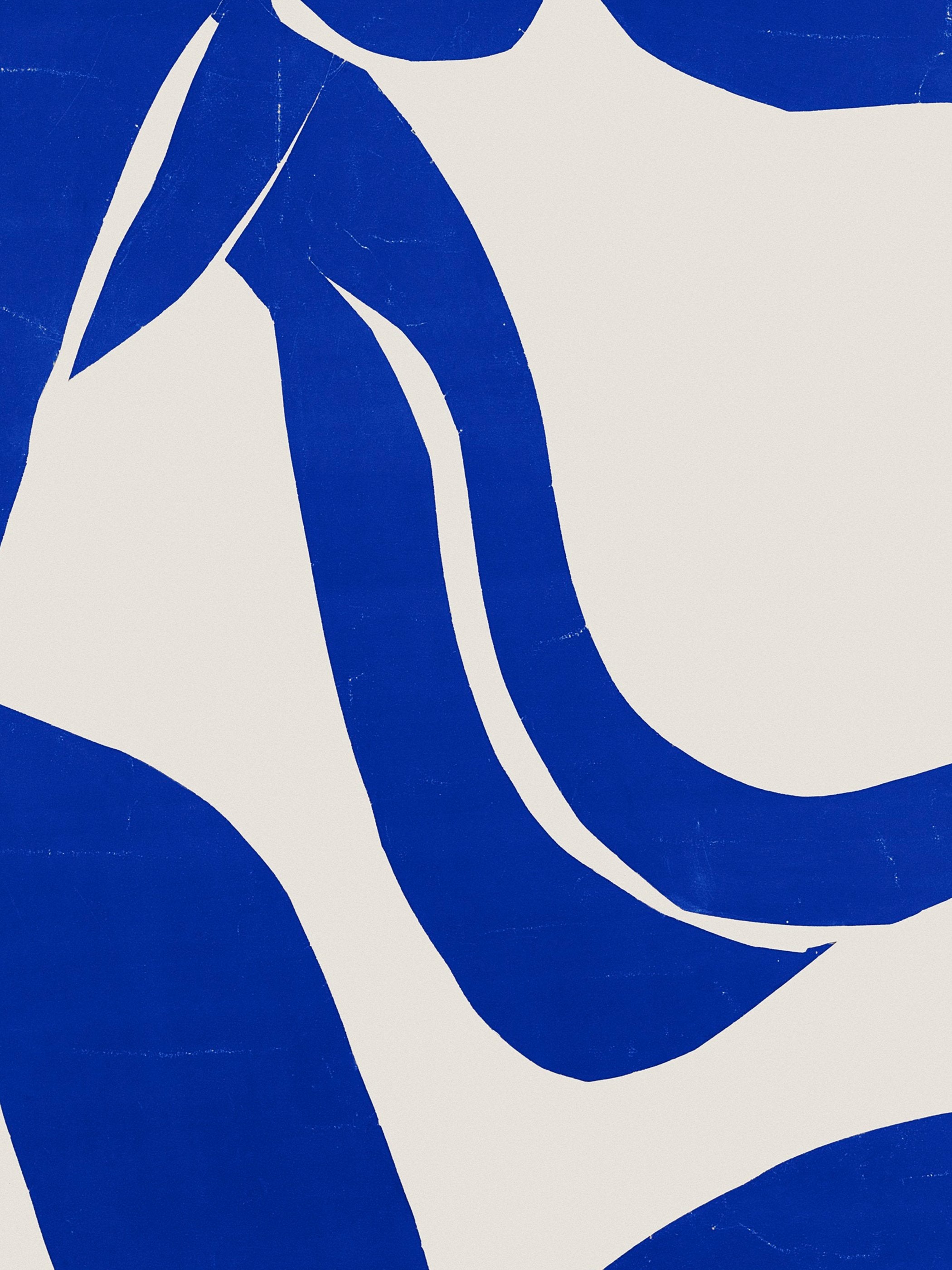 Henri Matisse - The Flowing Hair