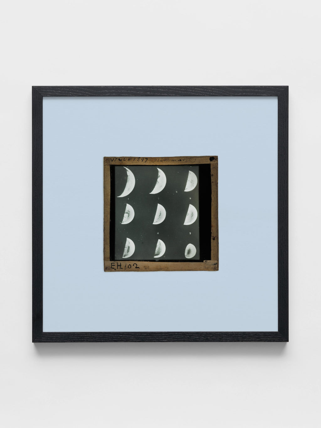 Clement Lindley Wragge - Nine images of Venus