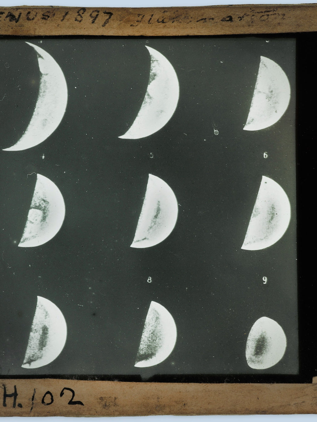 Clement Lindley Wragge - Nine images of Venus