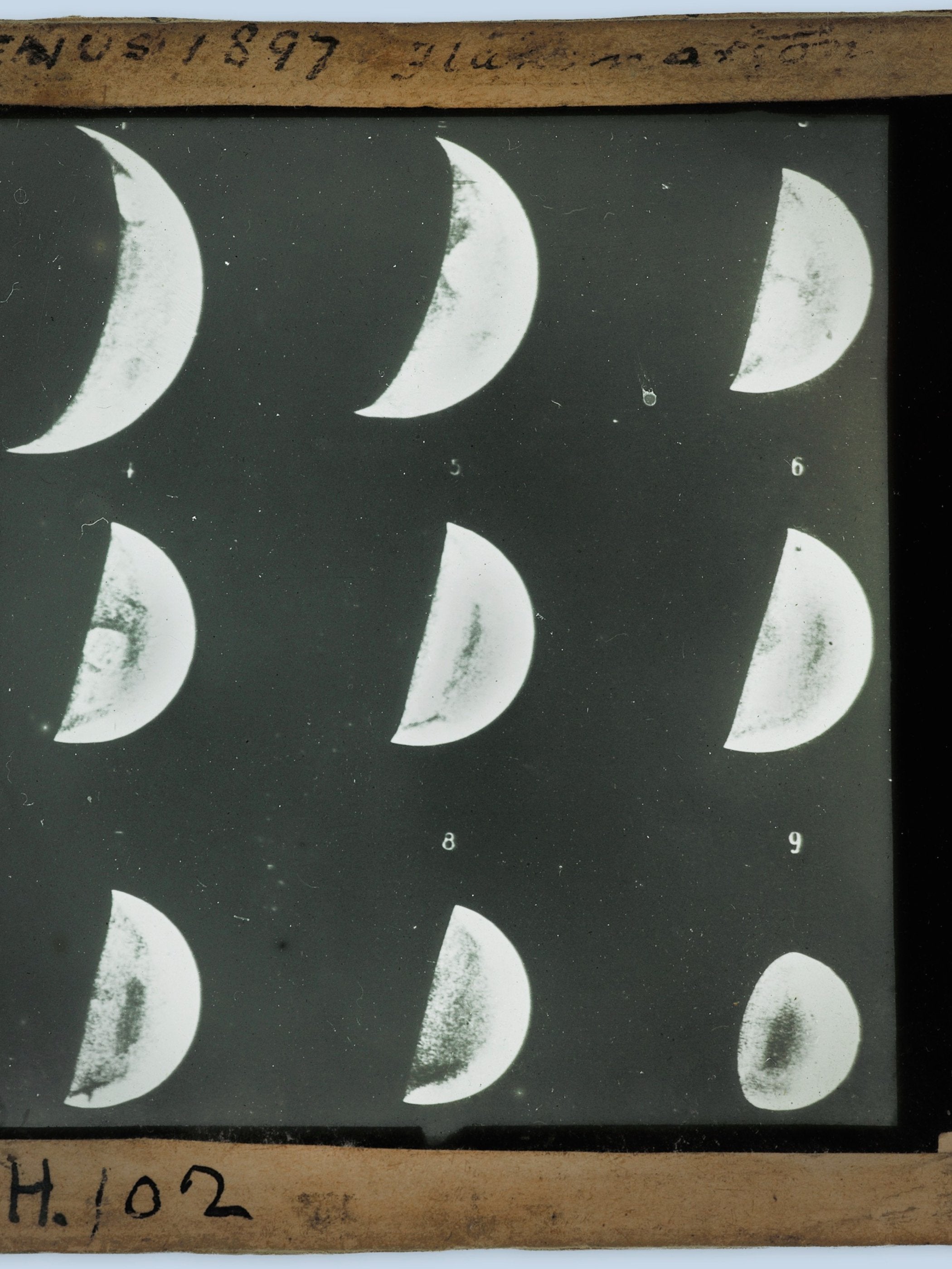 Clement Lindley Wragge - Nine images of Venus