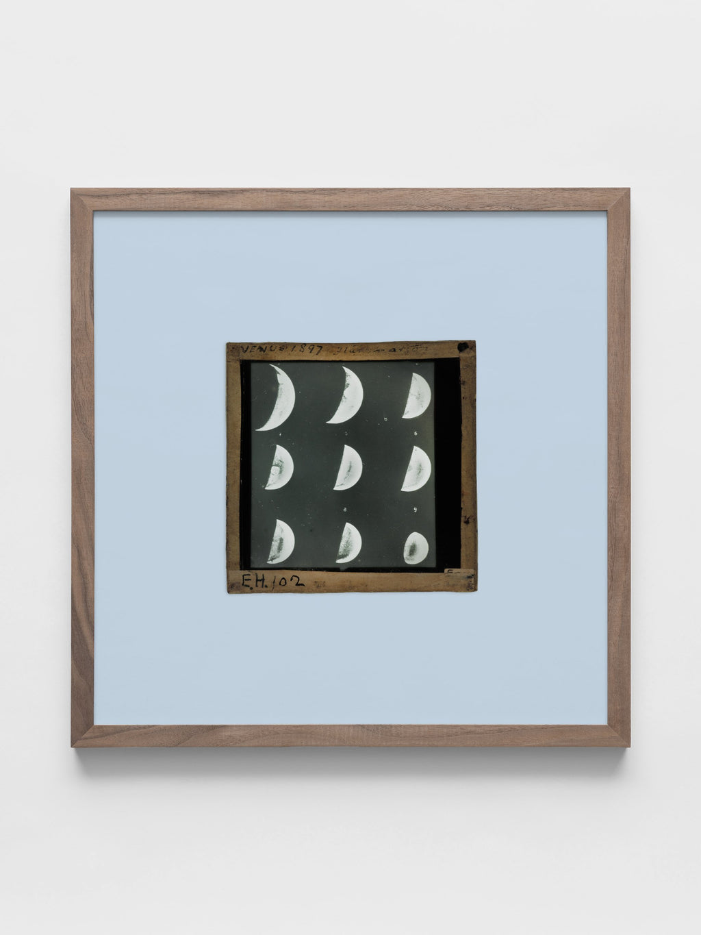 Clement Lindley Wragge - Nine images of Venus