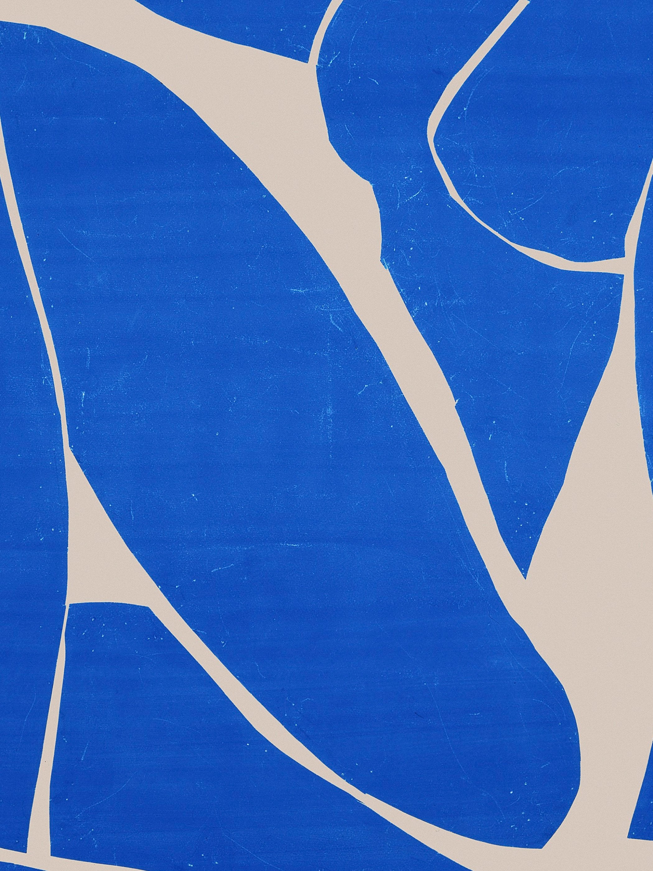 Henri Matisse - Blue Nude III
