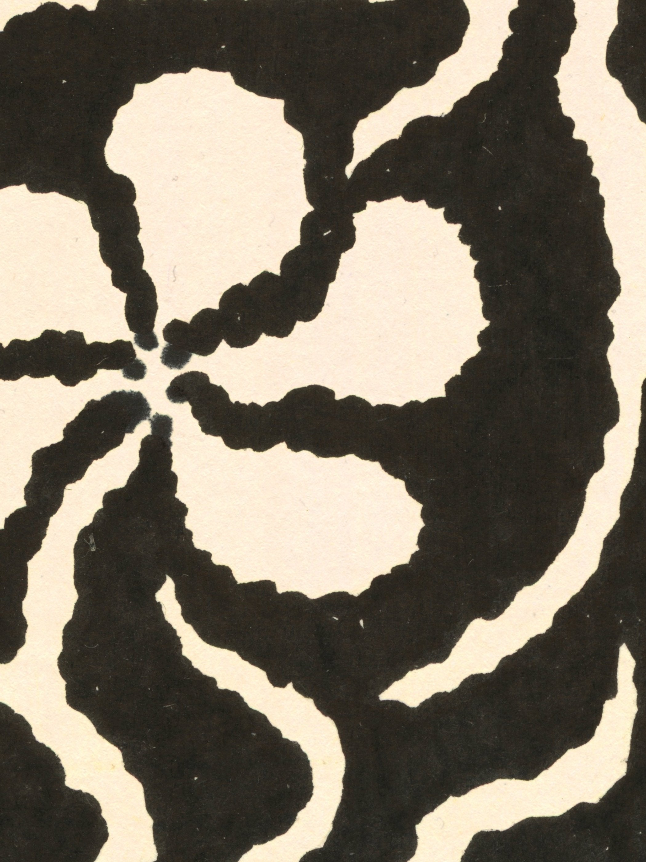 Eden Kalif - Sunset