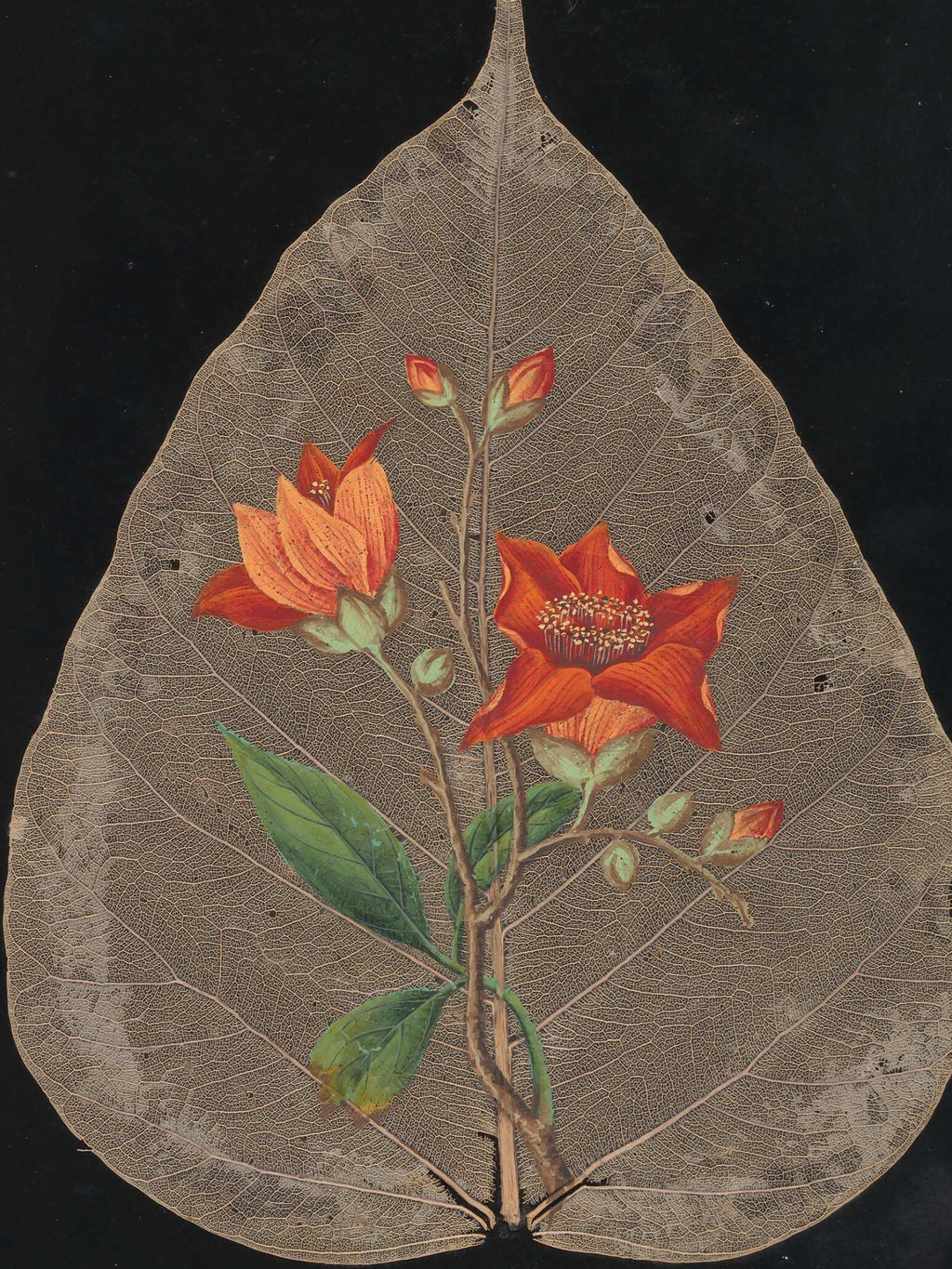 Ellen W. - Cut-paper flowers, 24