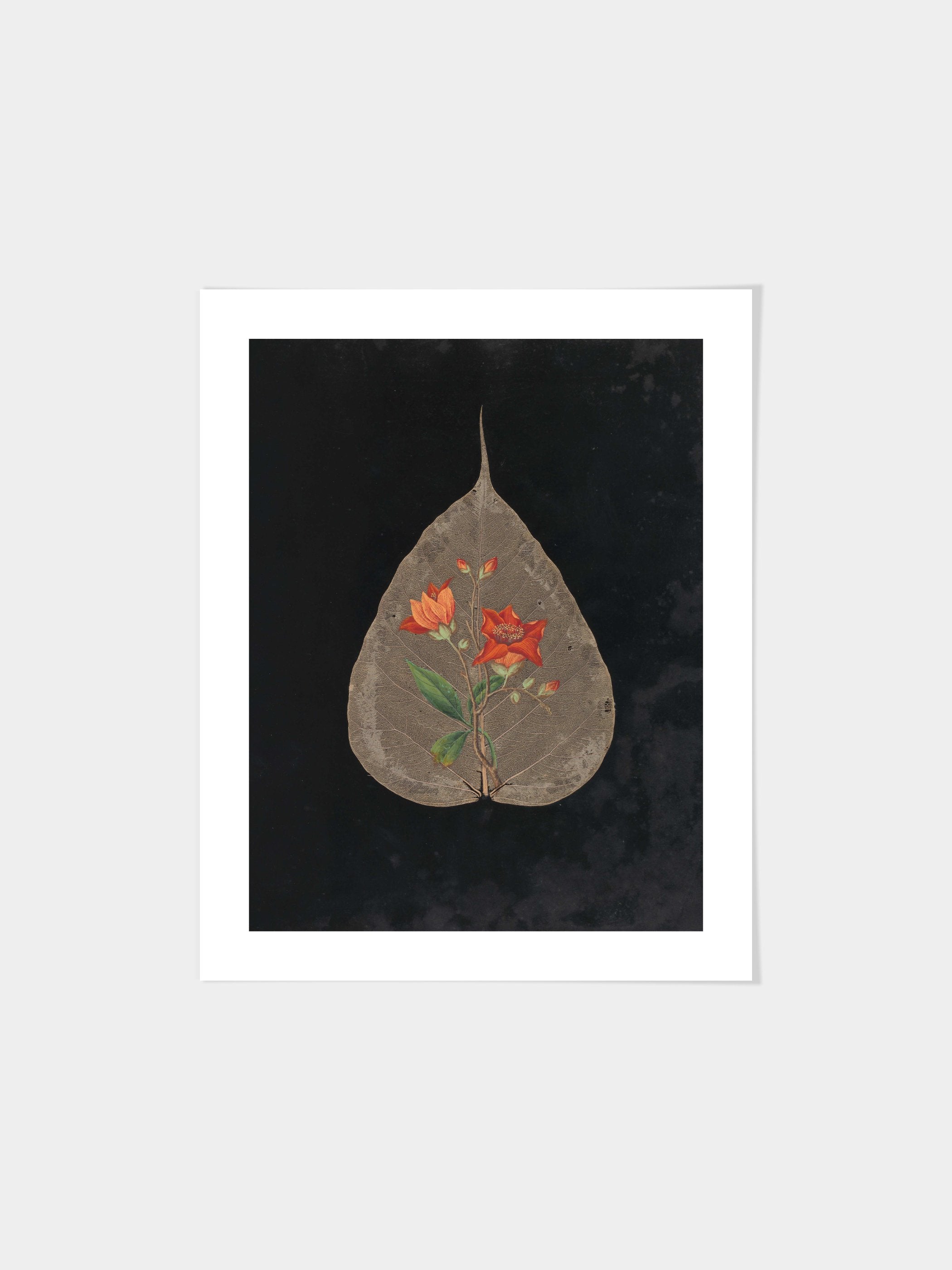 Ellen W. - Cut-paper flowers, 24