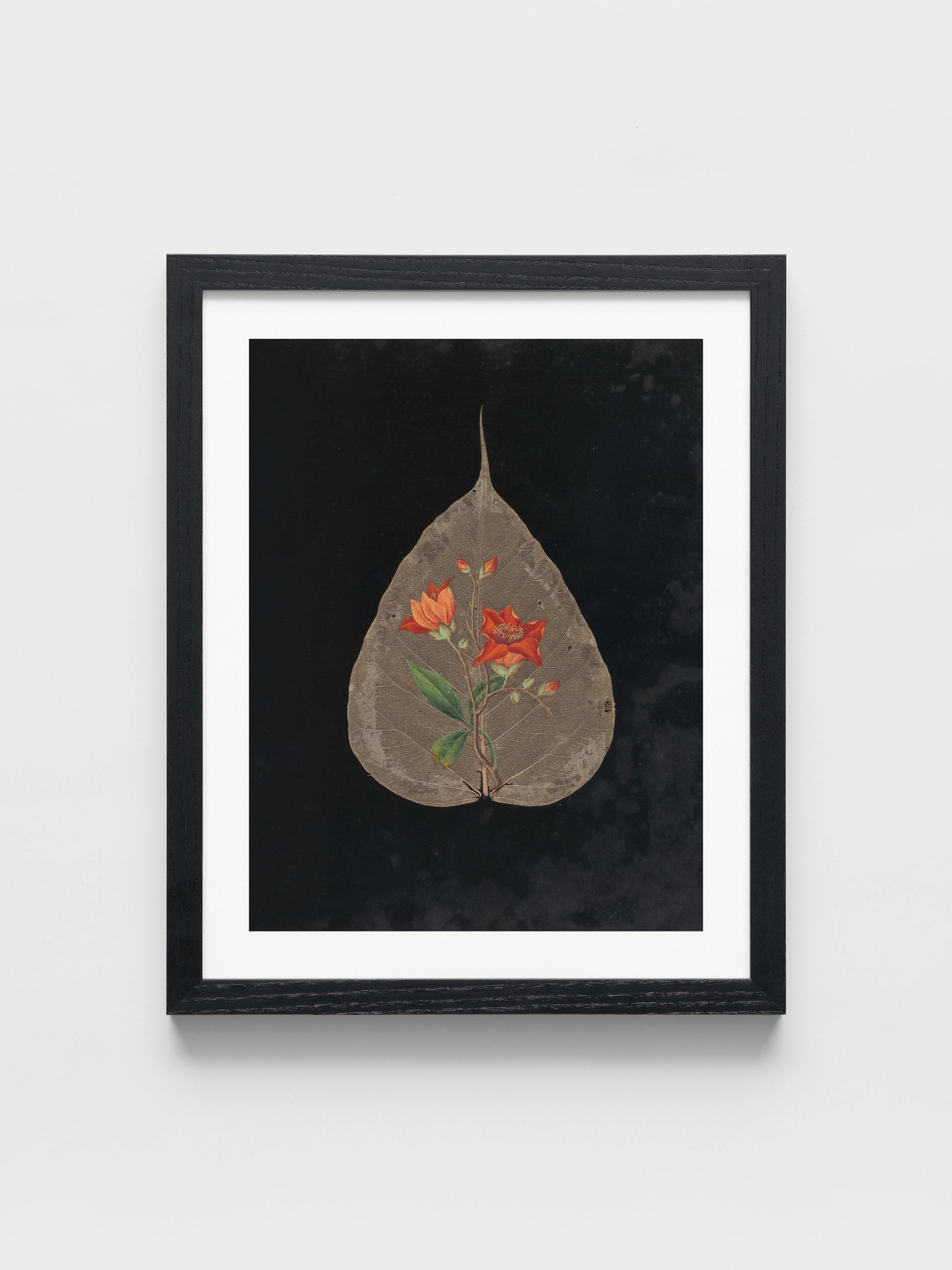 Ellen W. - Cut-paper flowers, 24