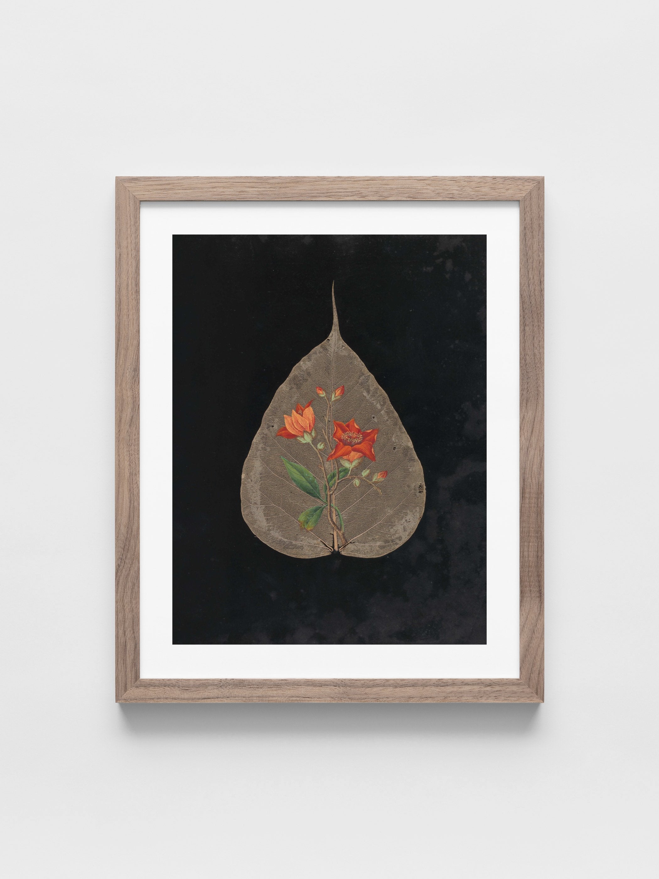 Ellen W. - Cut-paper flowers, 24
