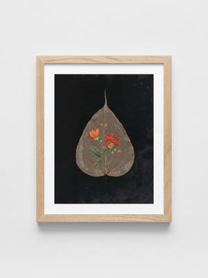 Ellen W. - Cut-paper flowers, 24