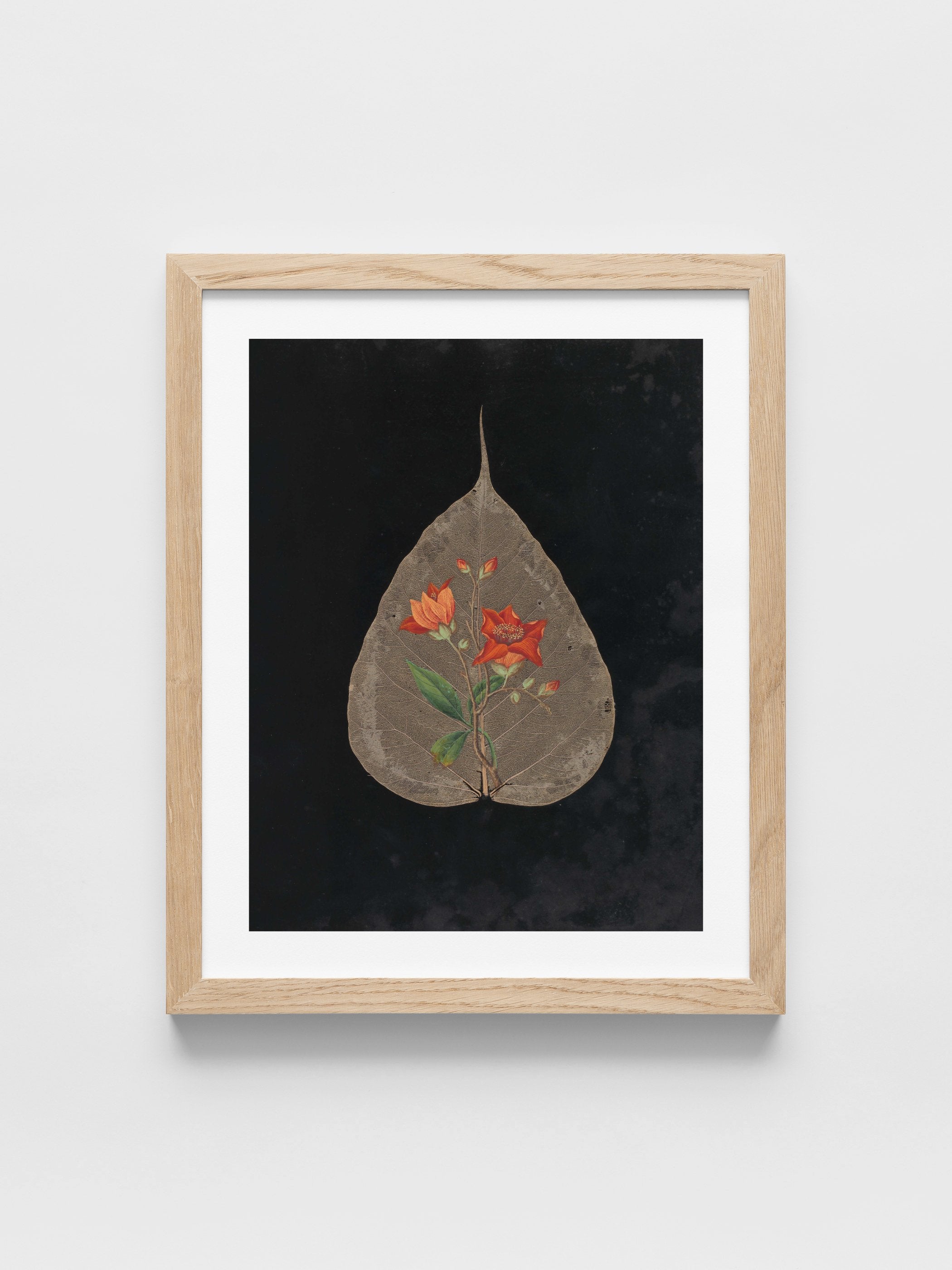 Ellen W. - Cut-paper flowers, 24