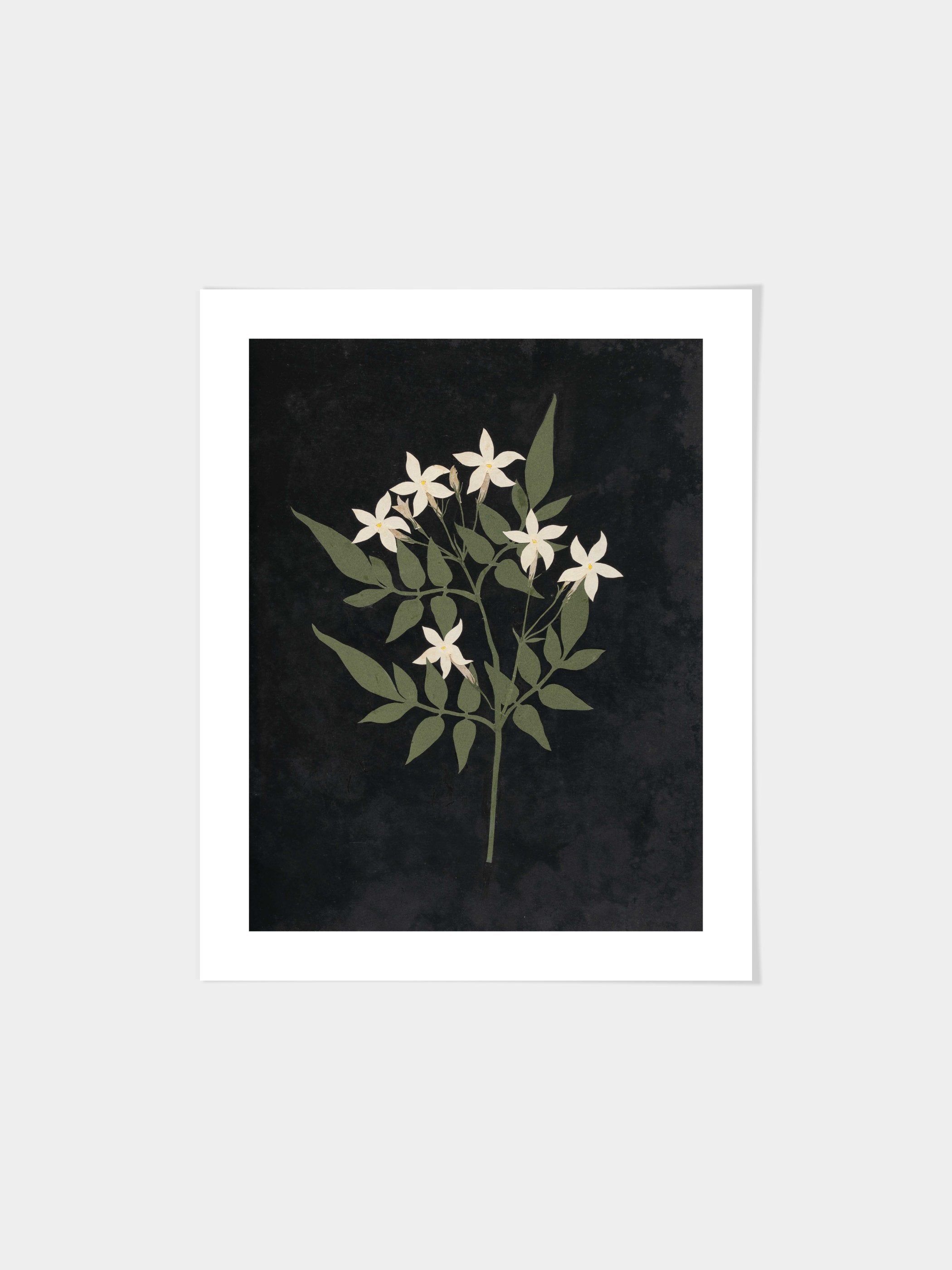 Ellen W. - Cut-paper flowers, 25
