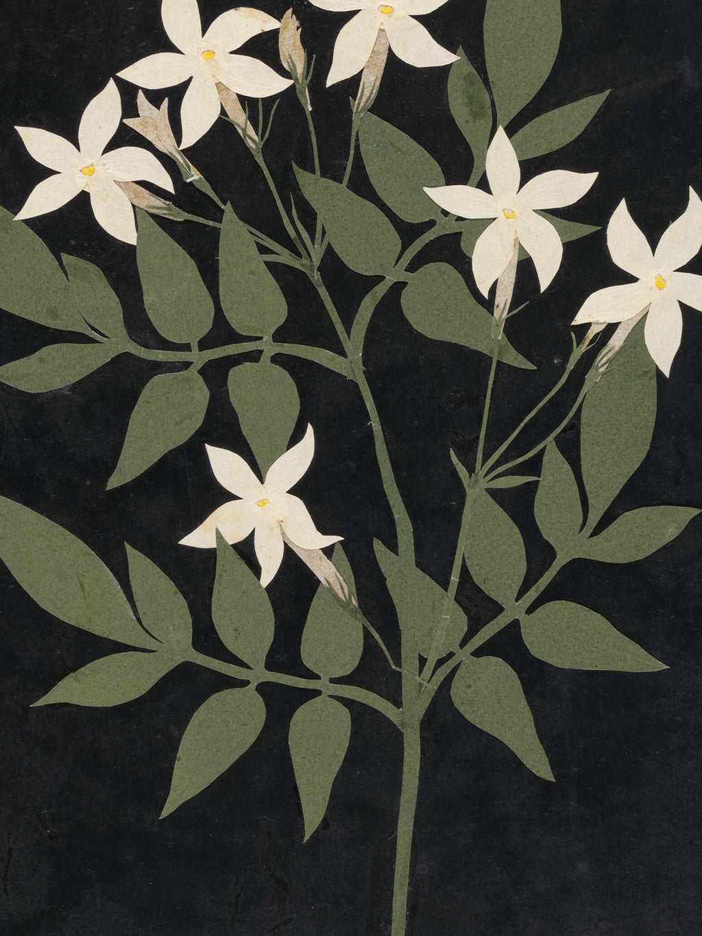 Ellen W. - Cut-paper flowers, 25
