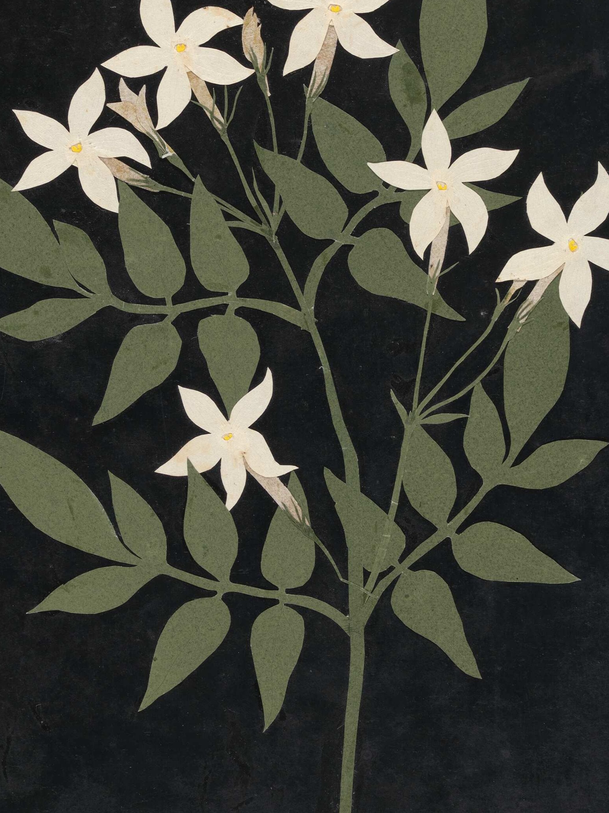 Ellen W. - Cut-paper flowers, 25