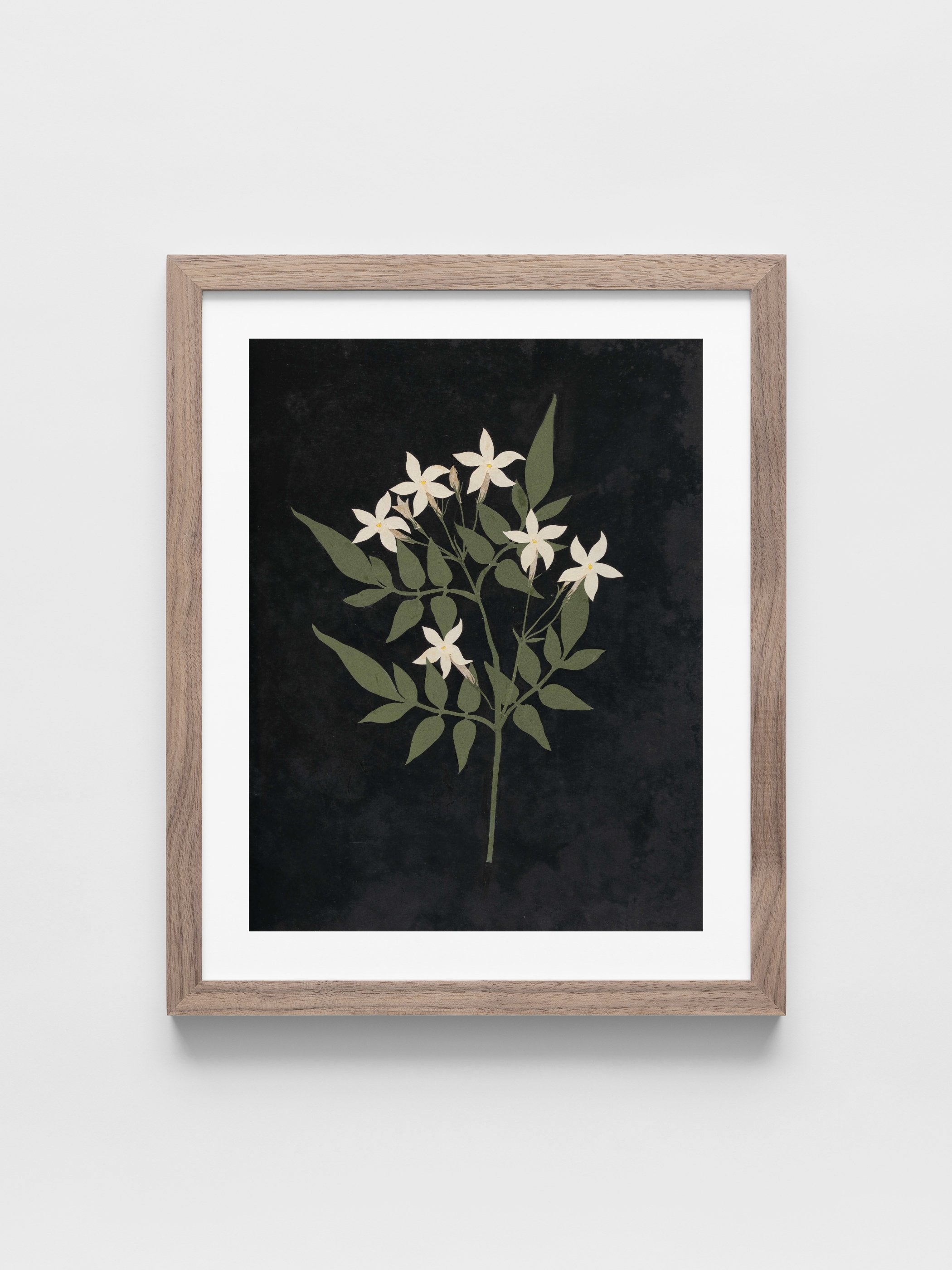 Ellen W. - Cut-paper flowers, 25