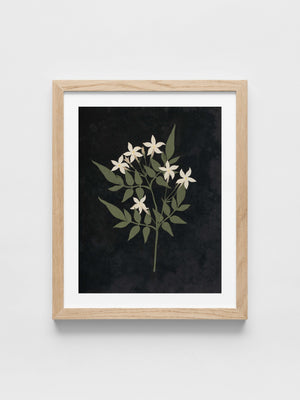 Ellen W. - Cut-paper flowers, 25