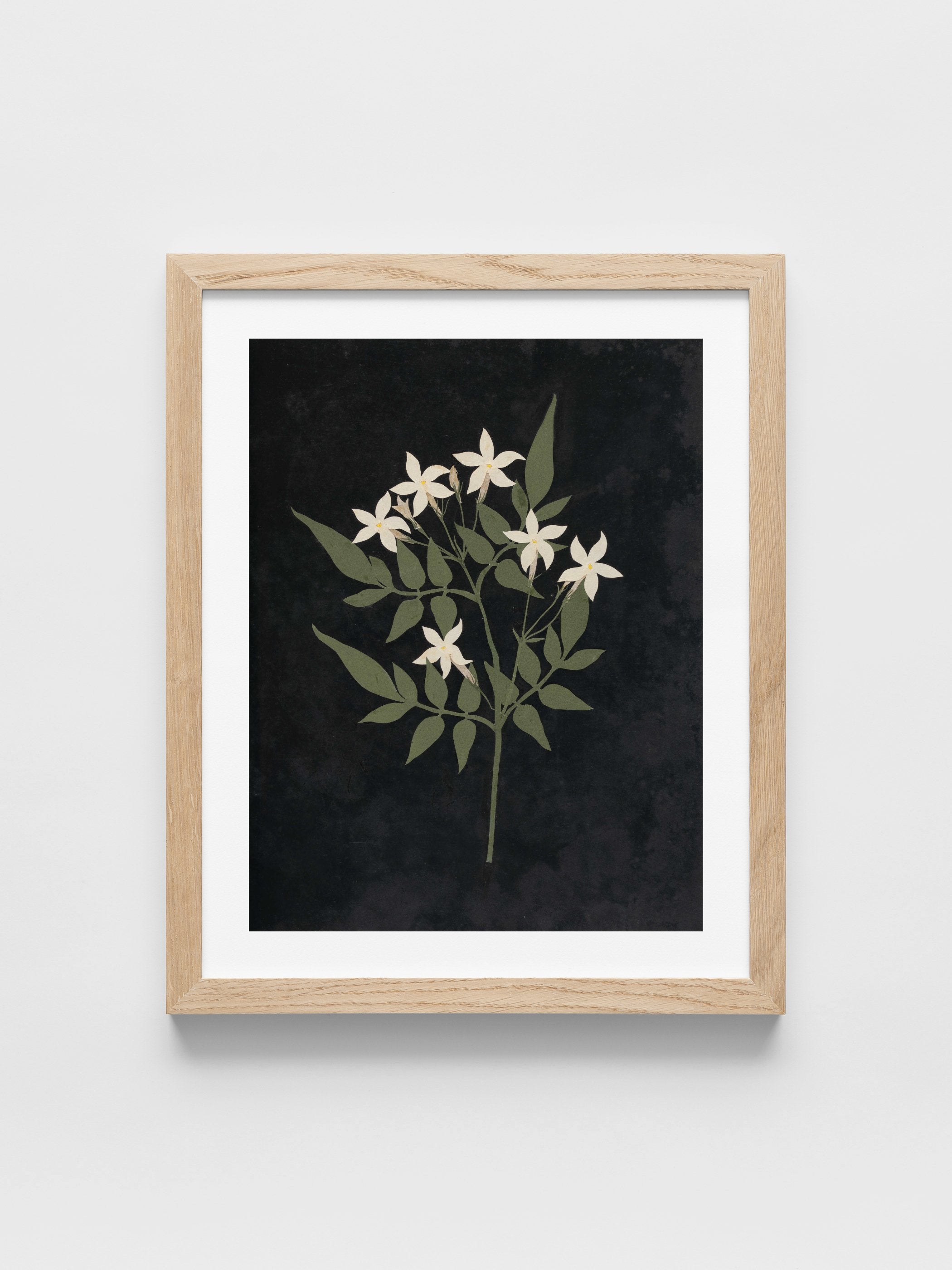 Ellen W. - Cut-paper flowers, 25
