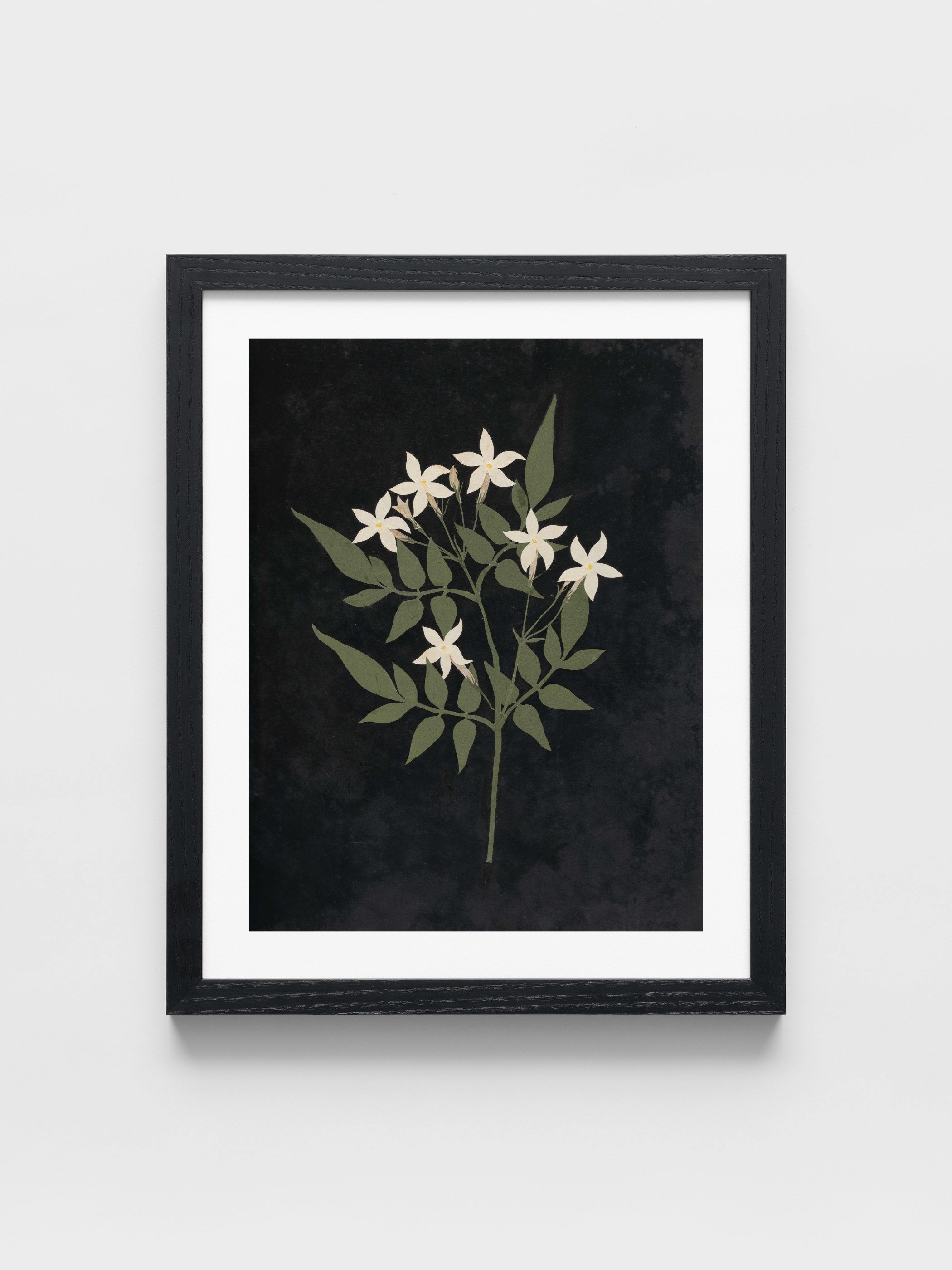 Ellen W. - Cut-paper flowers, 25