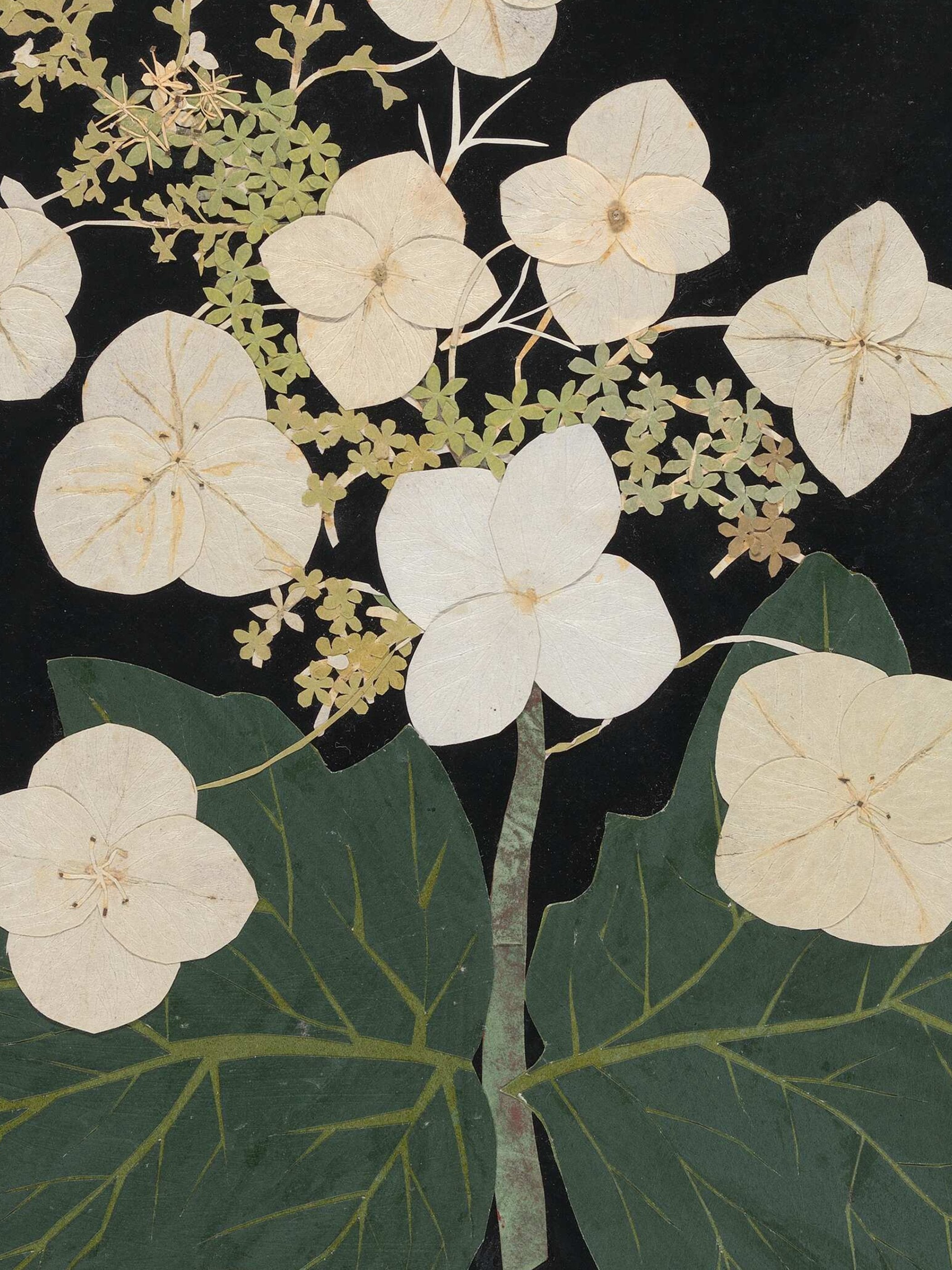 Ellen W. - Cut-paper flowers, 22