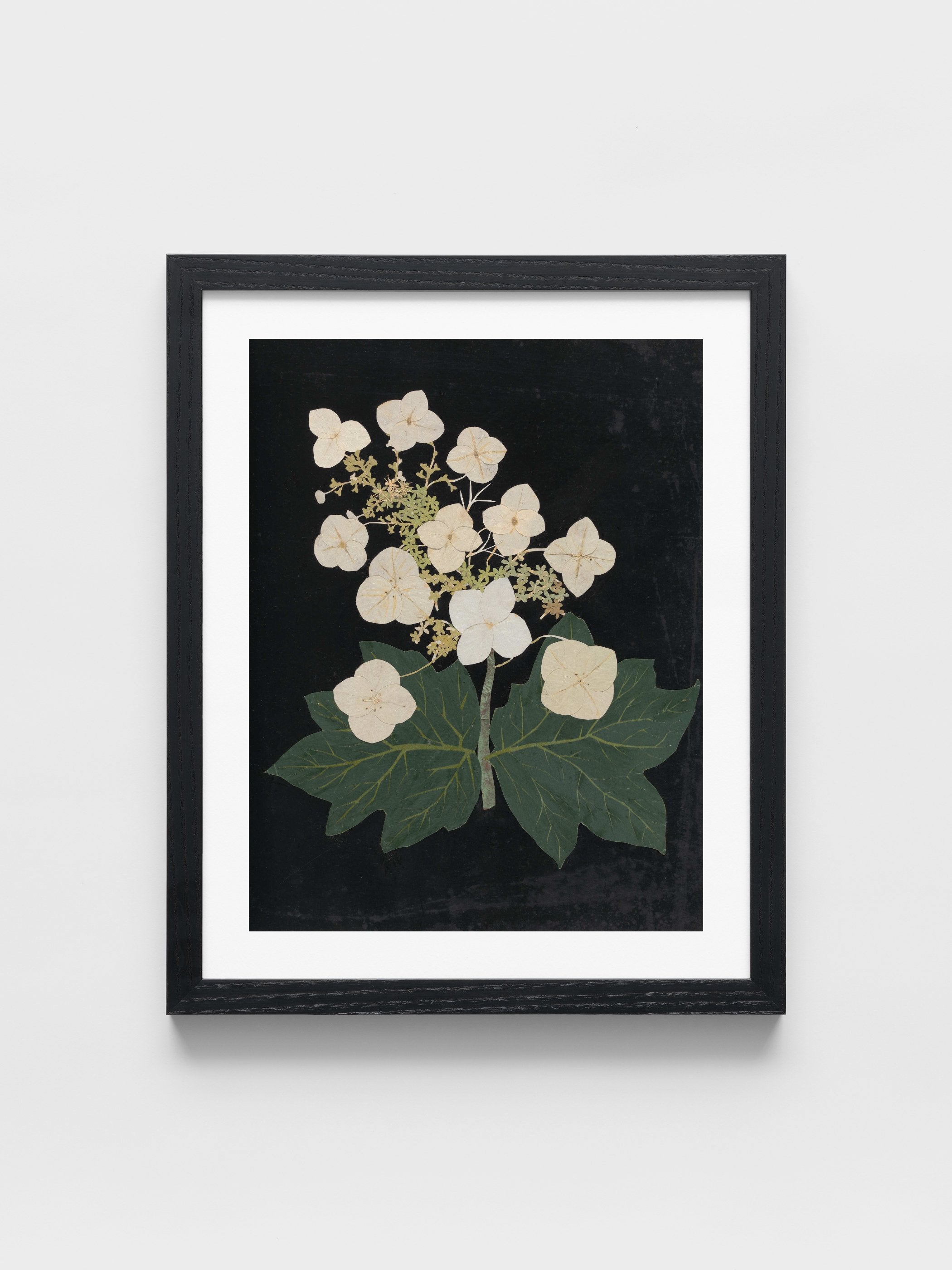 Ellen W. - Cut-paper flowers, 22