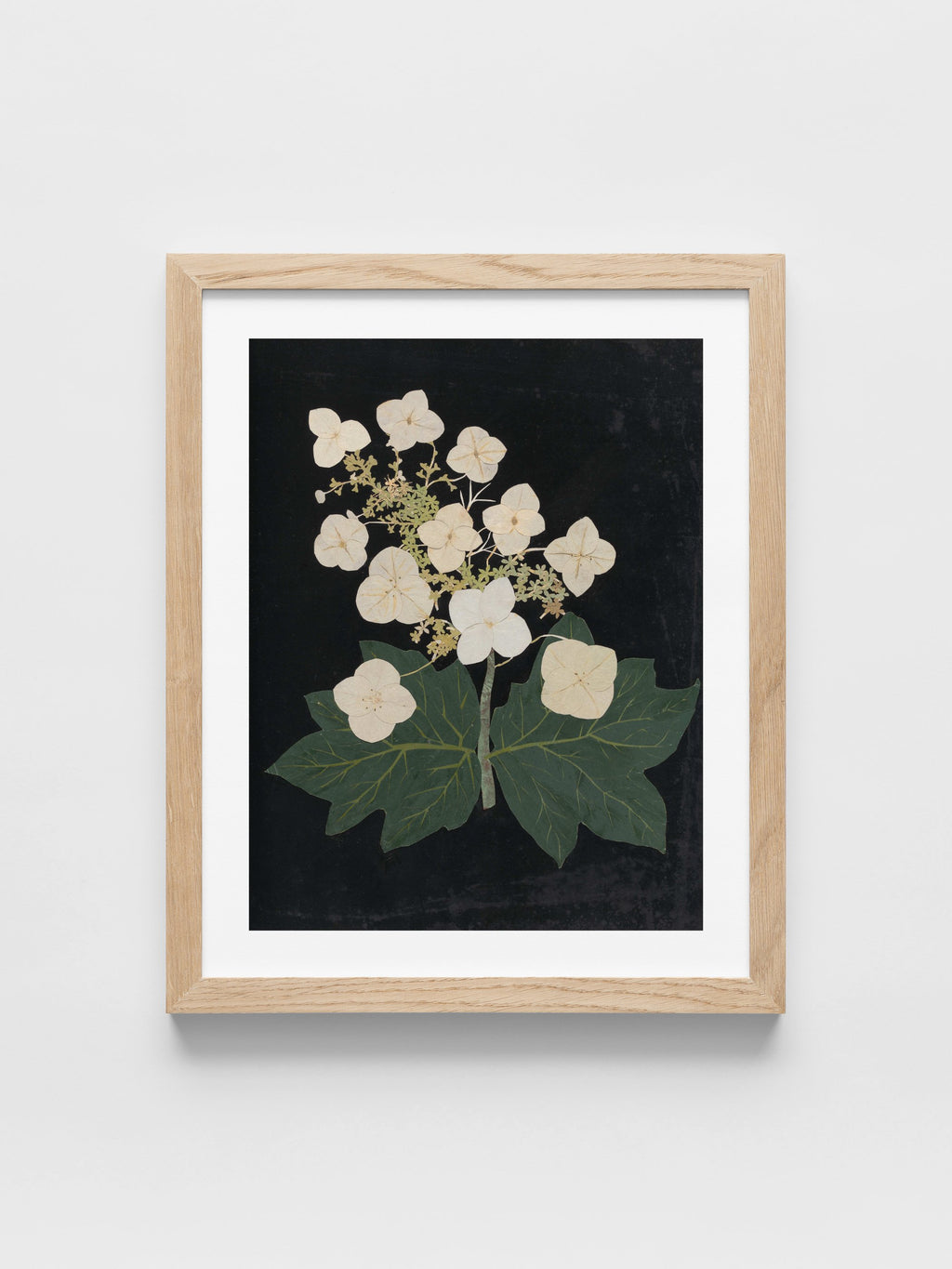 Ellen W. - Cut-paper flowers, 22