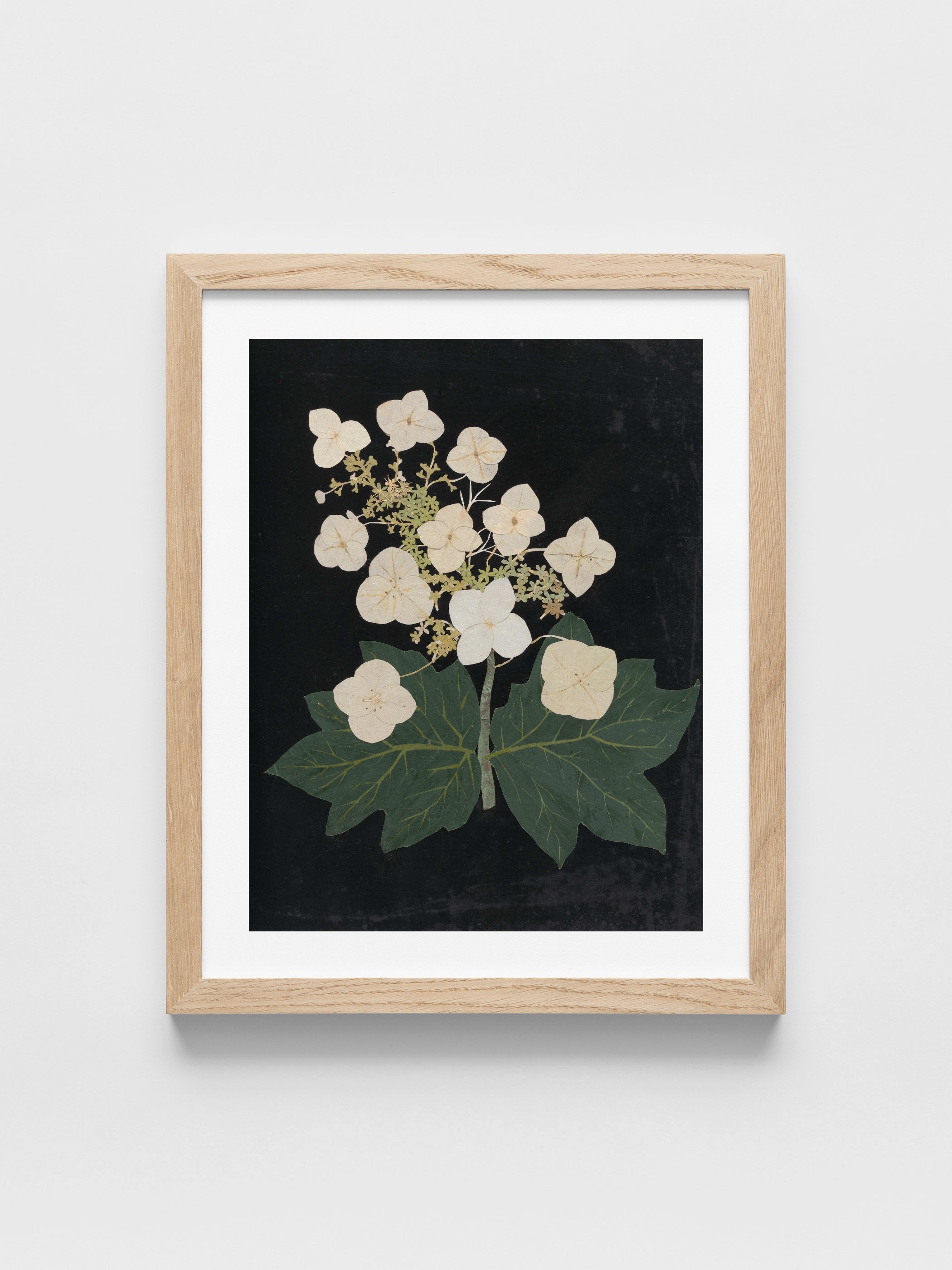 Ellen W. - Cut-paper flowers, 22