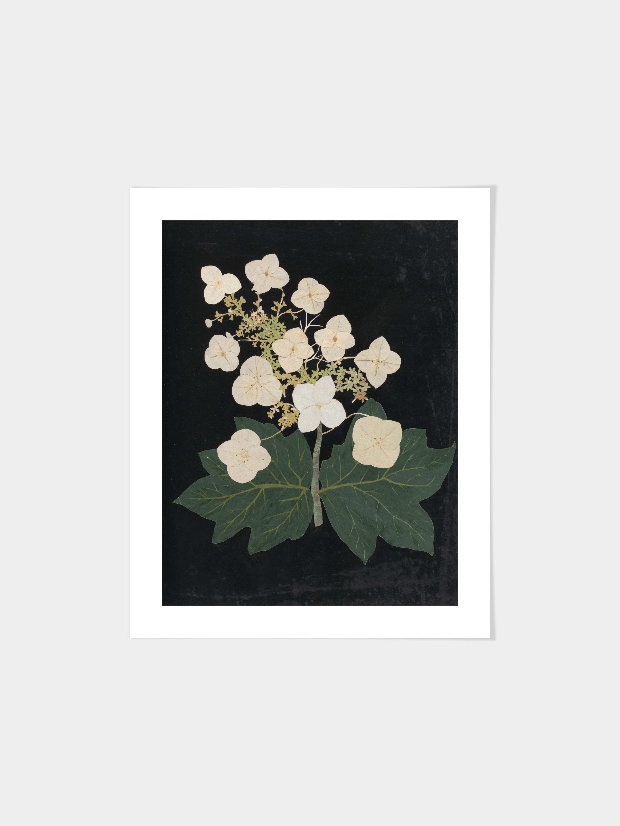 Ellen W. - Cut-paper flowers, 22