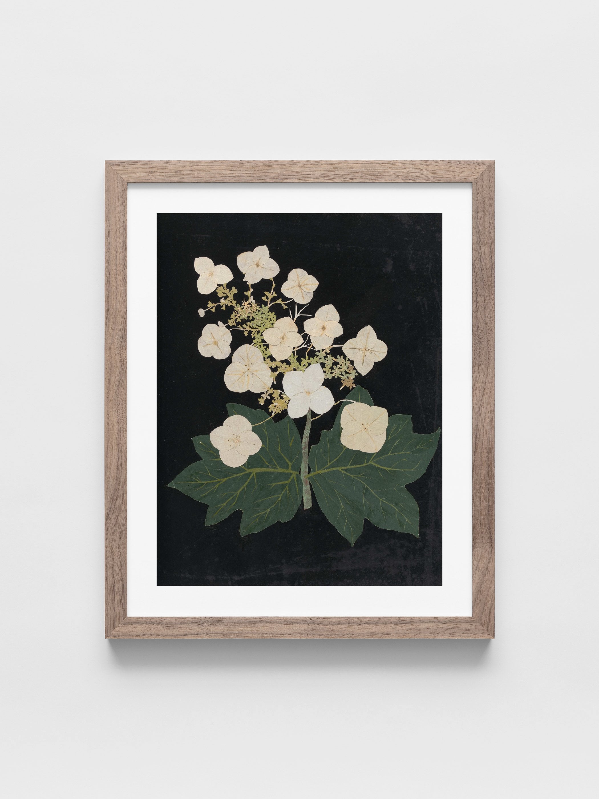 Ellen W. - Cut-paper flowers, 22
