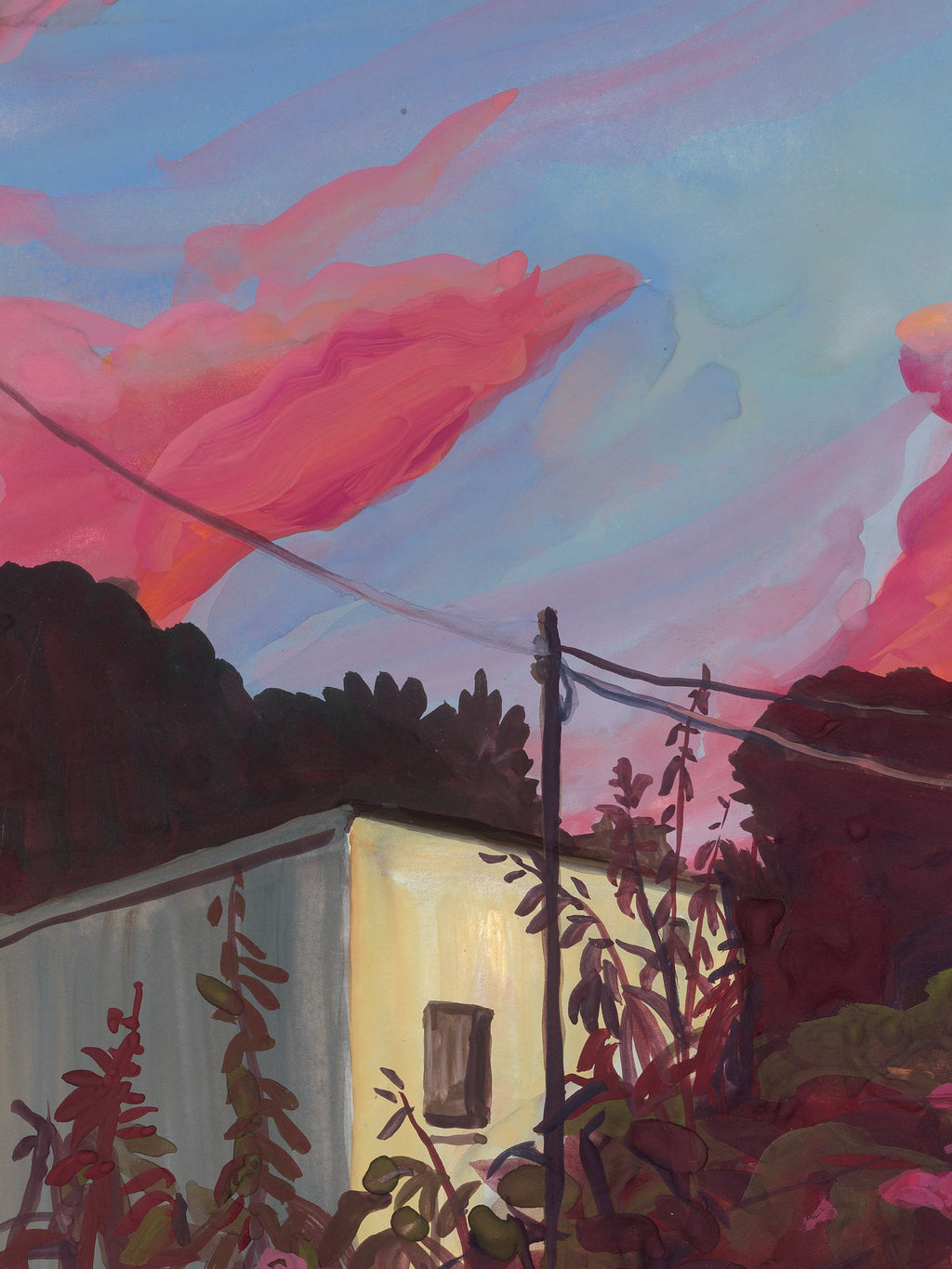 Alice Brasser - Bougainville