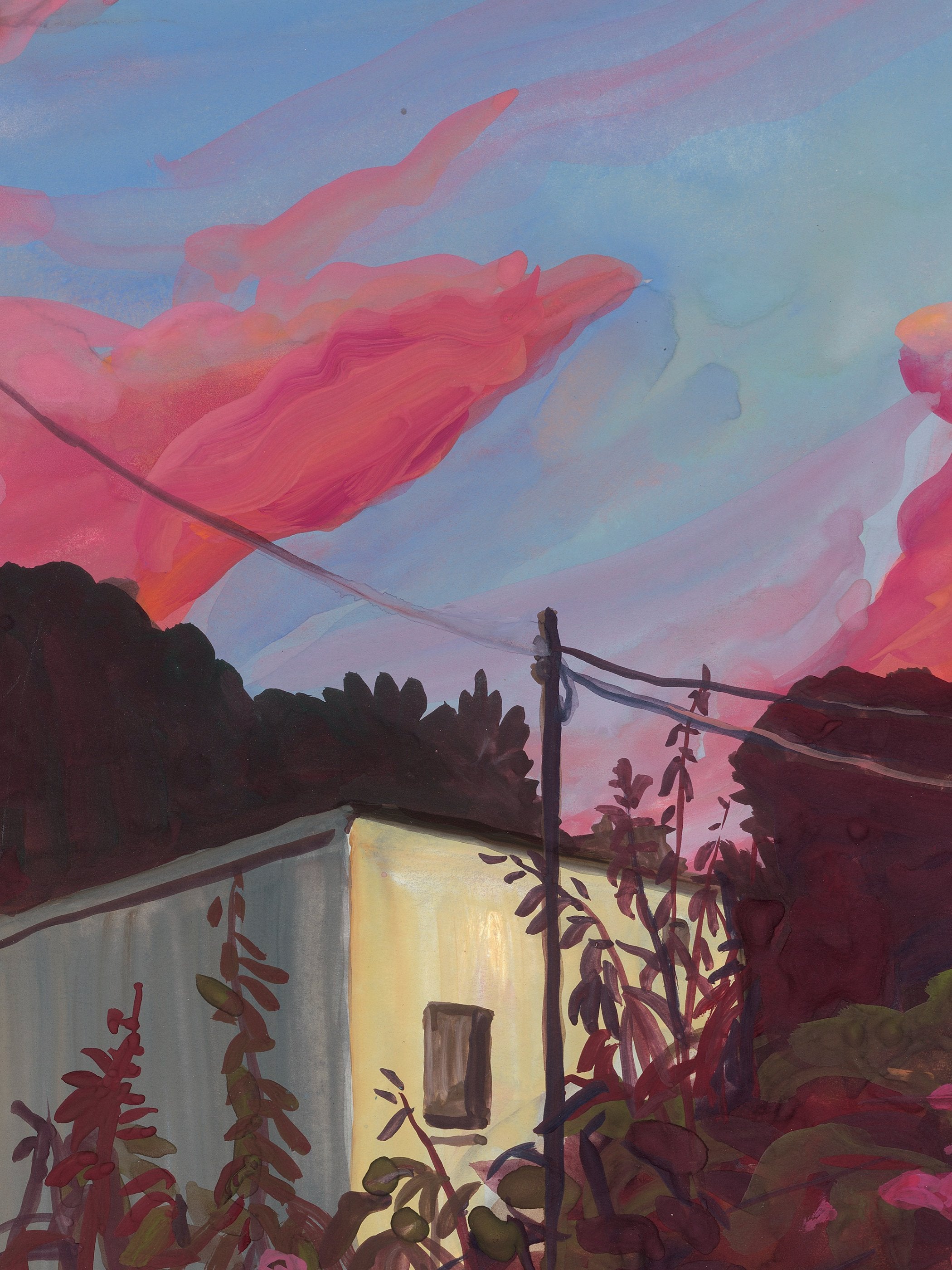 Alice Brasser - Bougainville