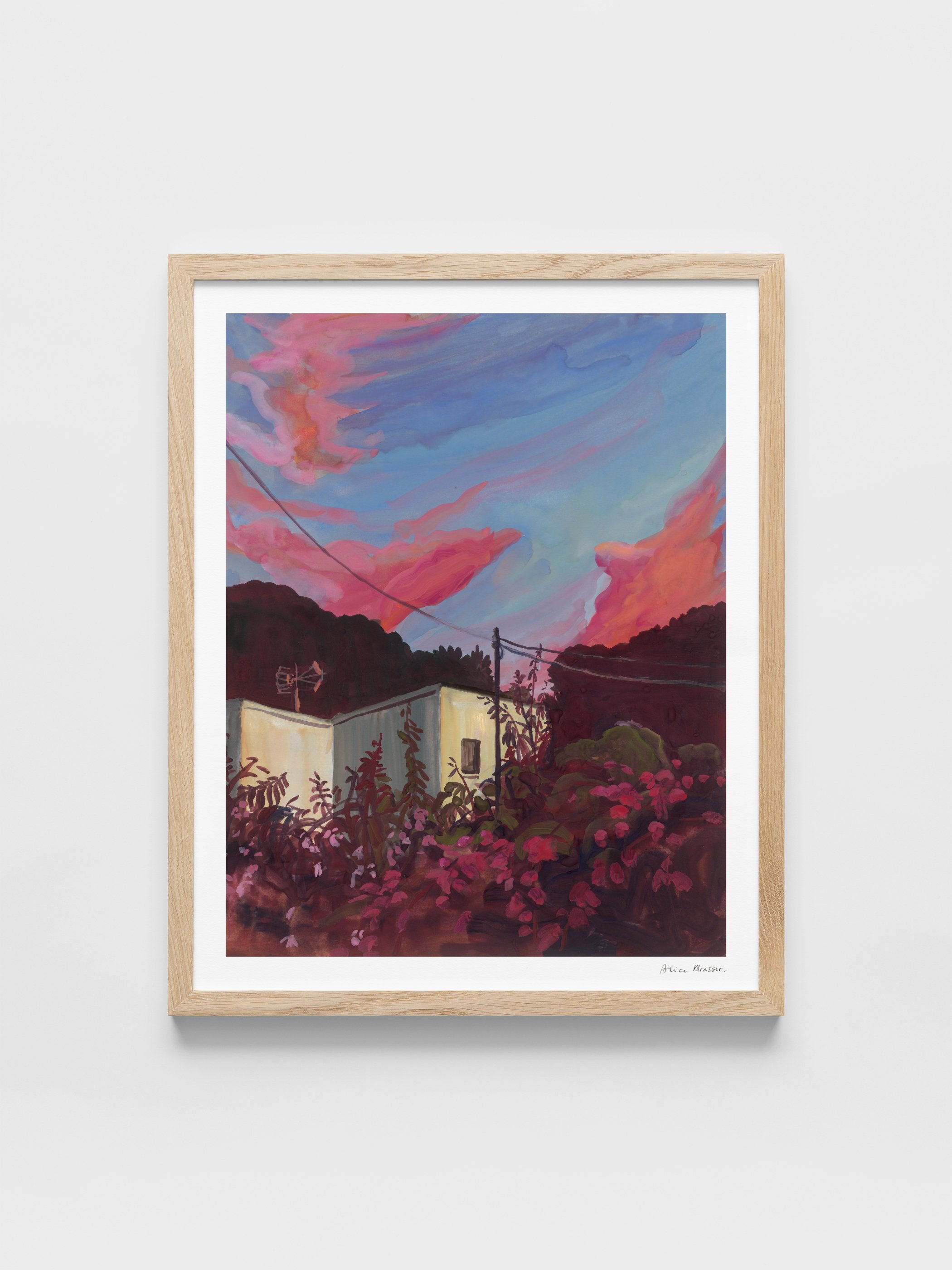 Alice Brasser - Bougainville
