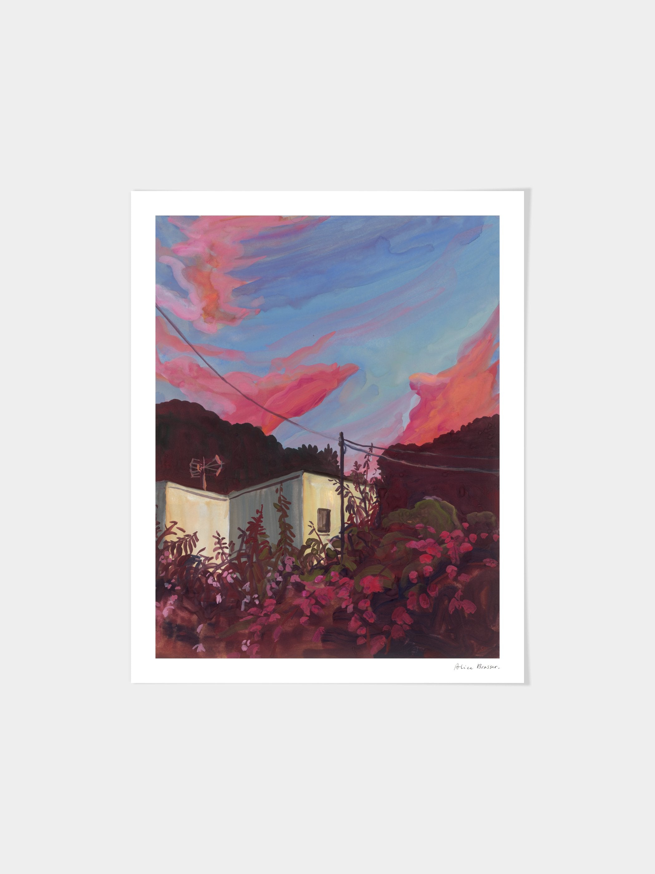 Alice Brasser - Bougainville