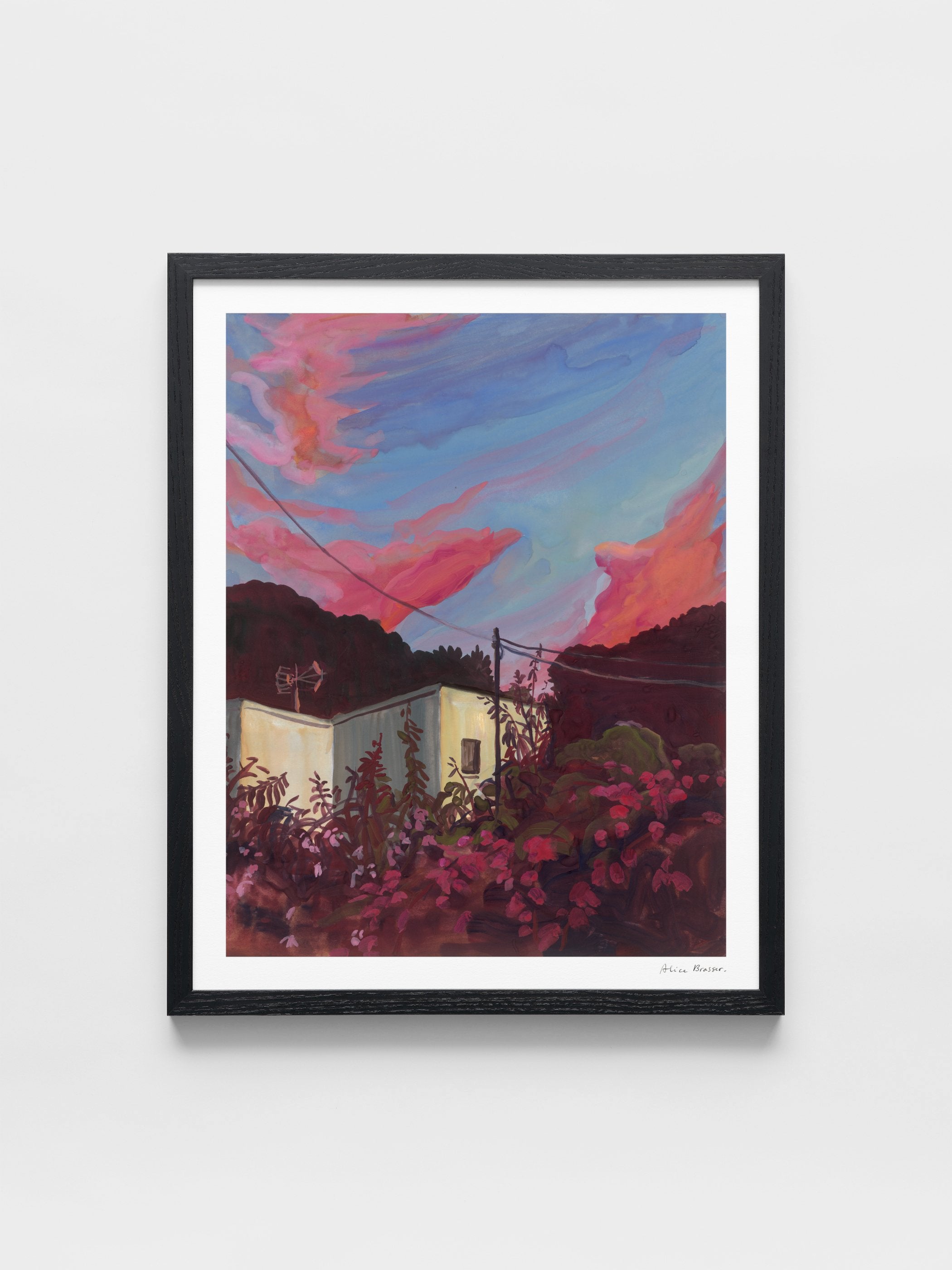 Alice Brasser - Bougainville