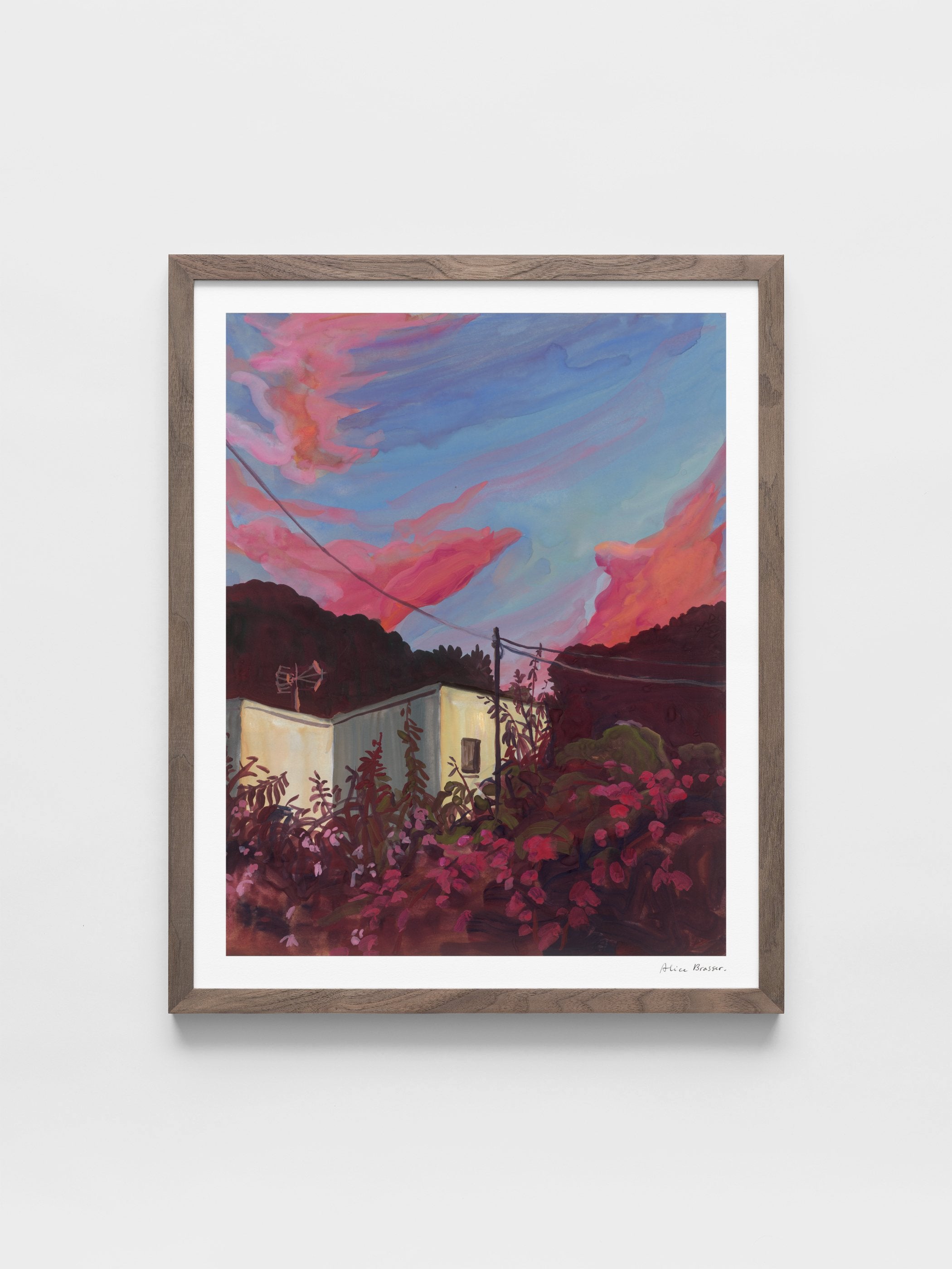 Alice Brasser - Bougainville